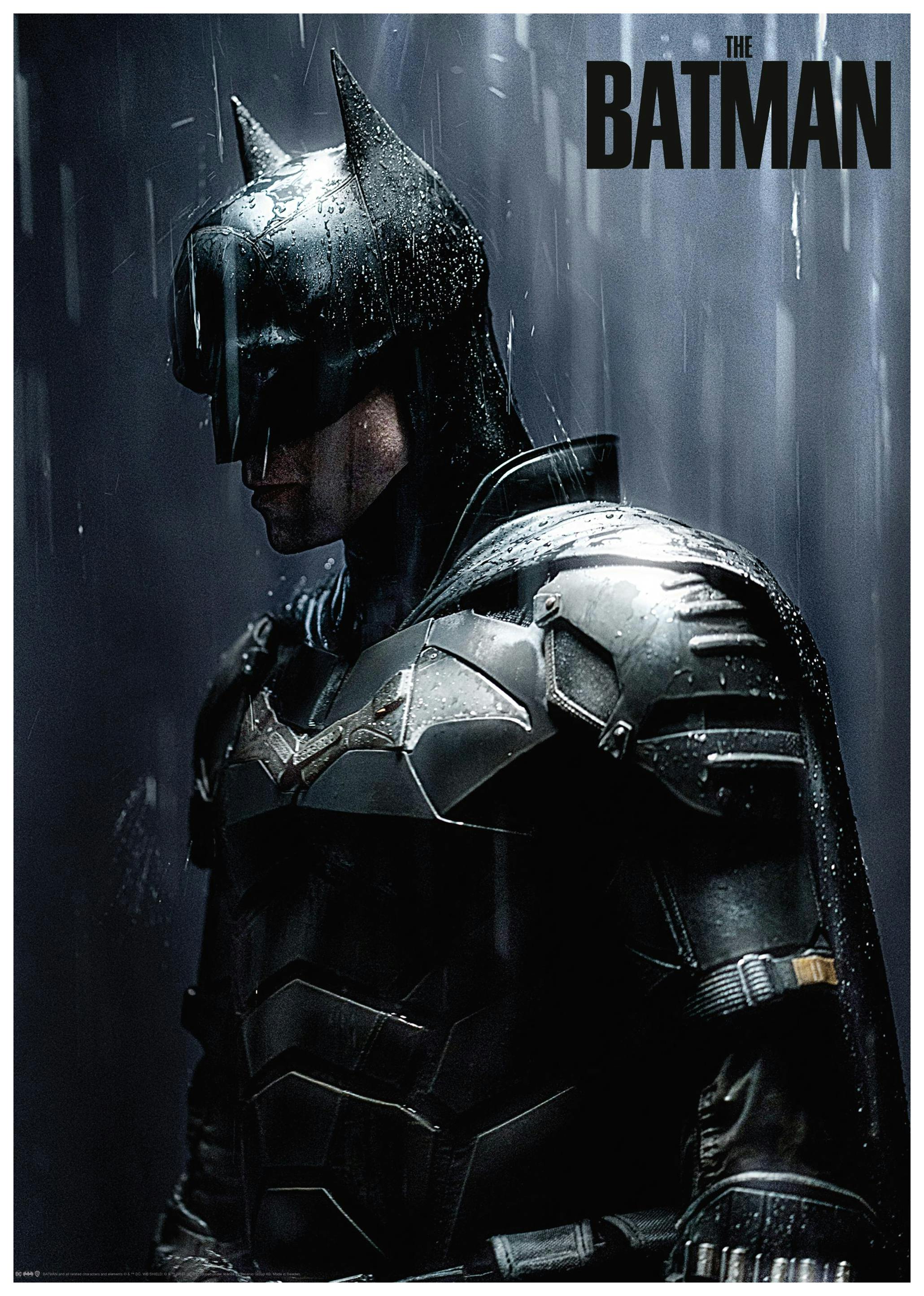 The Batman™ - Downpour Poster (50x70 cm) - Poster Store