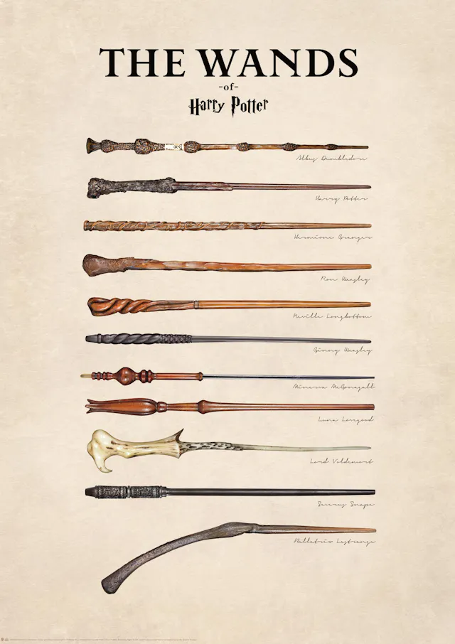 Harry Potter™ Wand Motions Poster | Poster Store CA