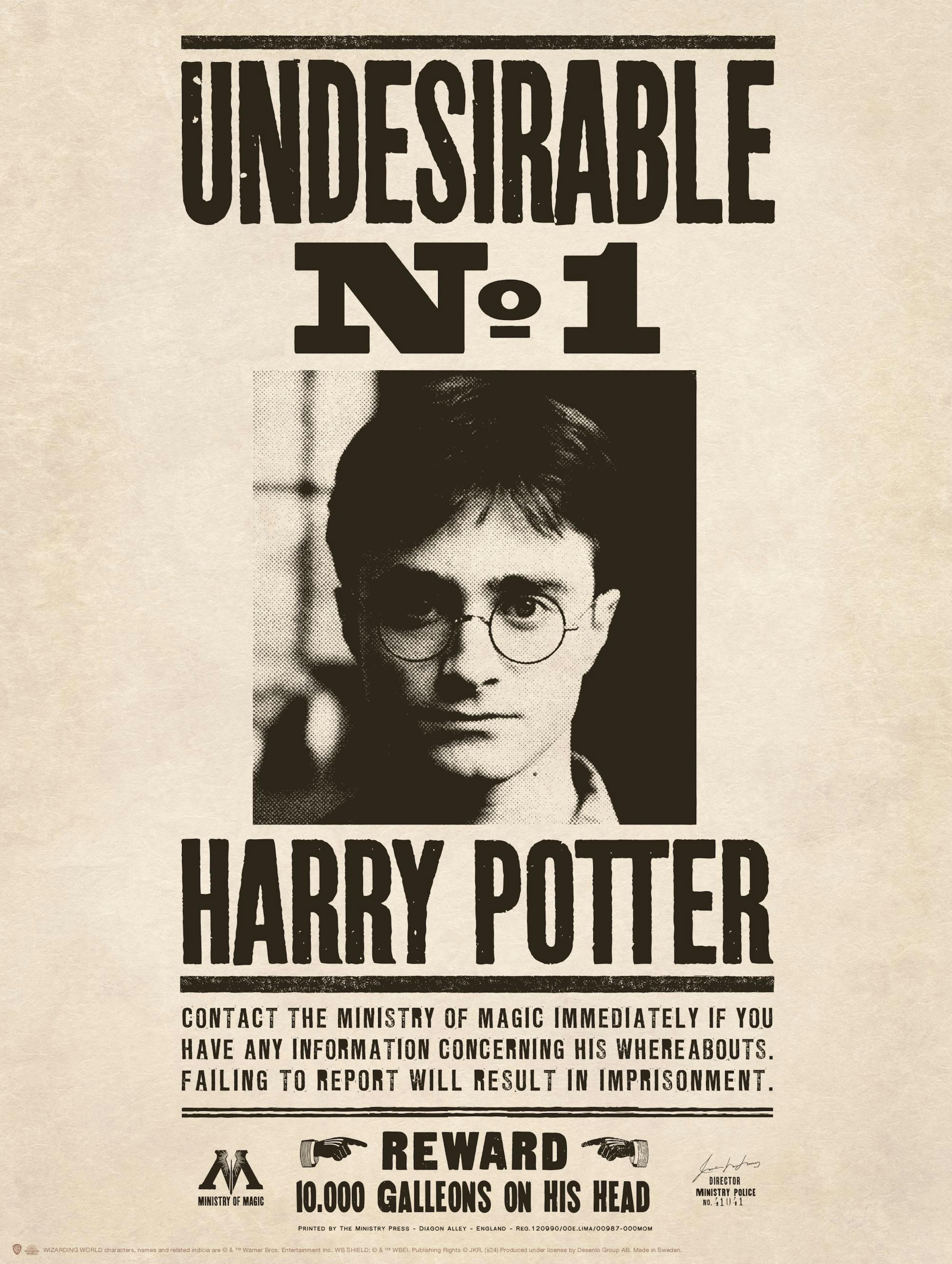 Harry Potter™ - Undesirable Poster thumbnail