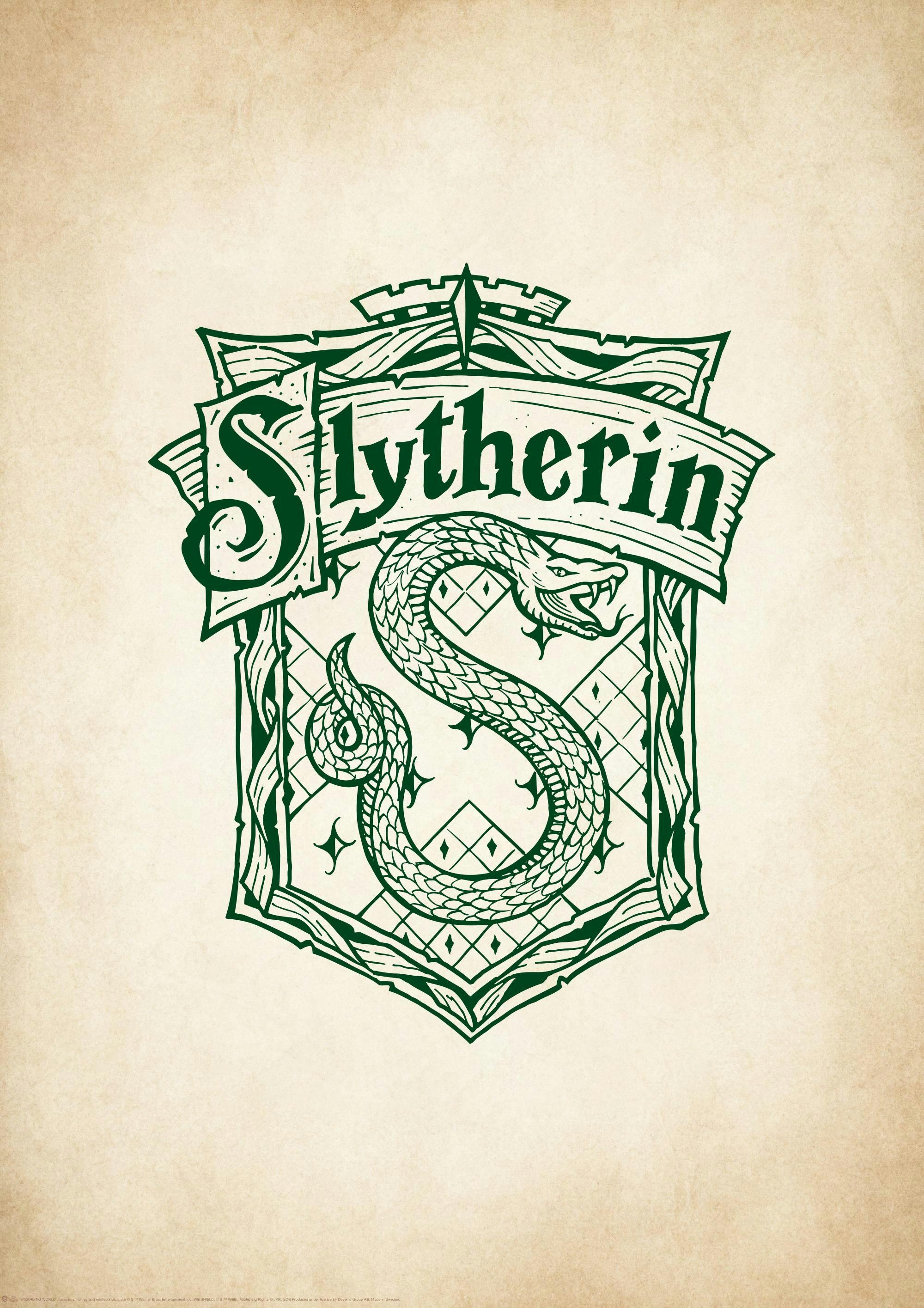 Harry Potter™ - Slytherin Affiche 0