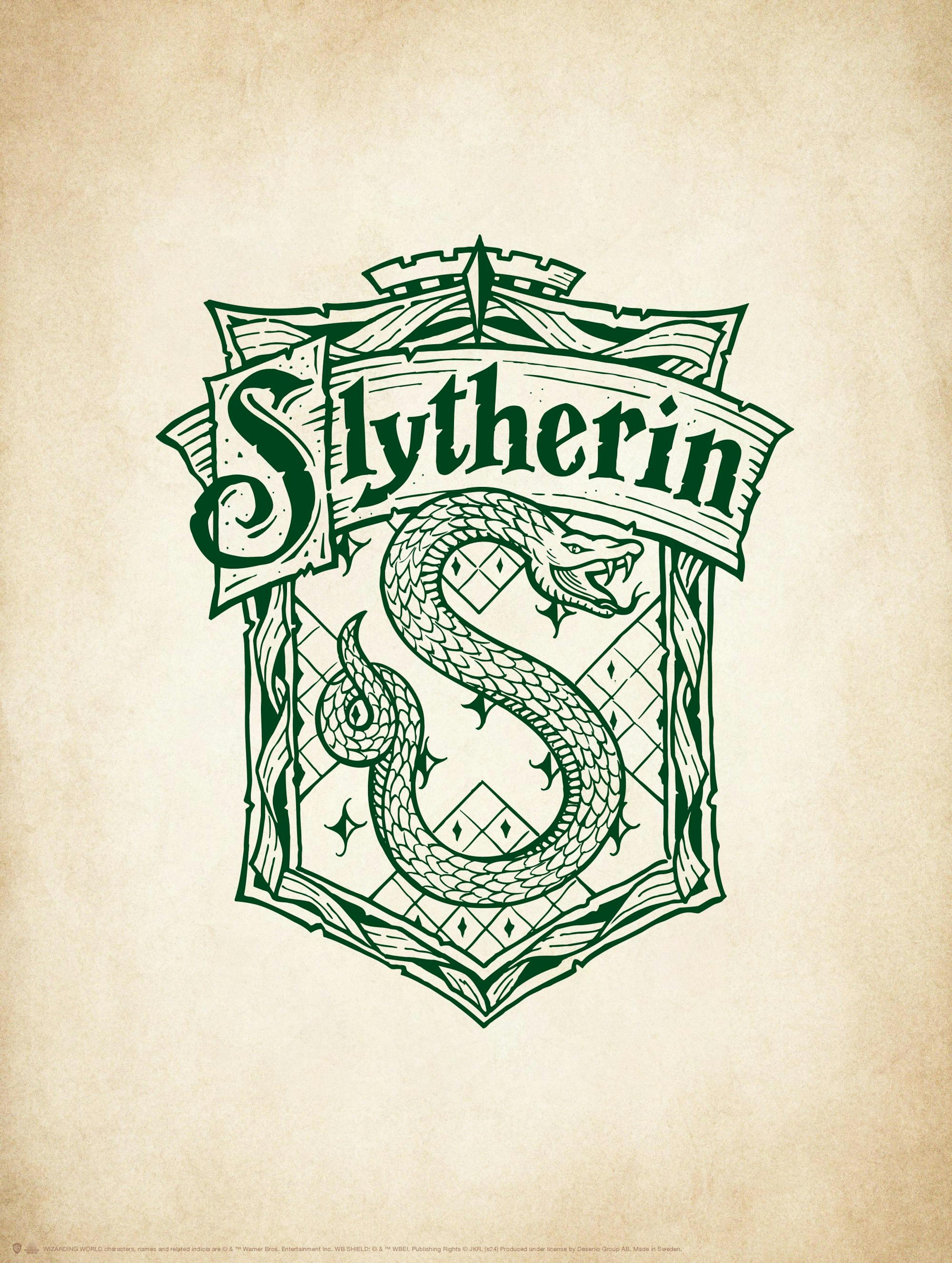 Harry Potter™ - Slytherin Poster thumbnail