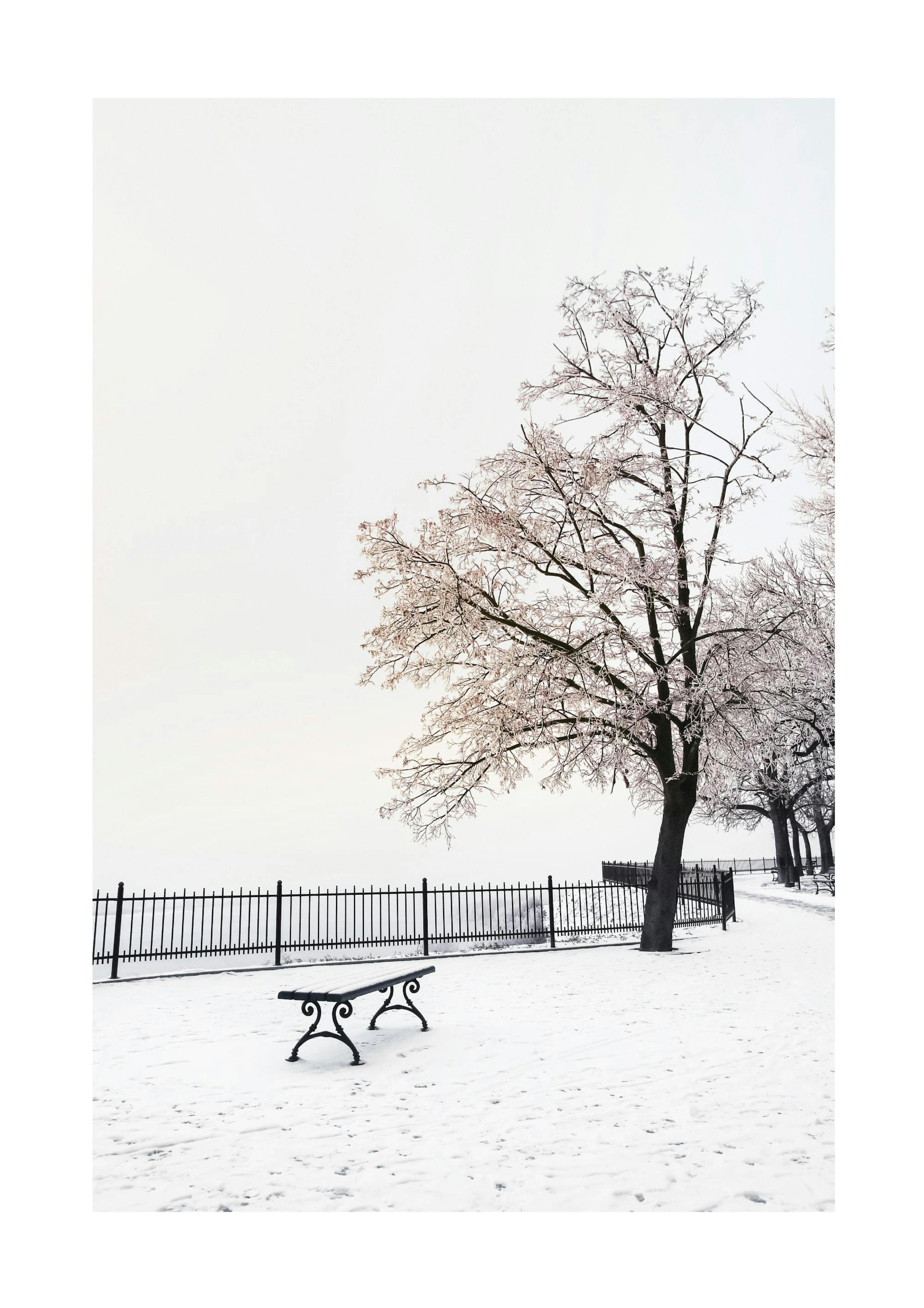 Banc d'Hiver Poster 0