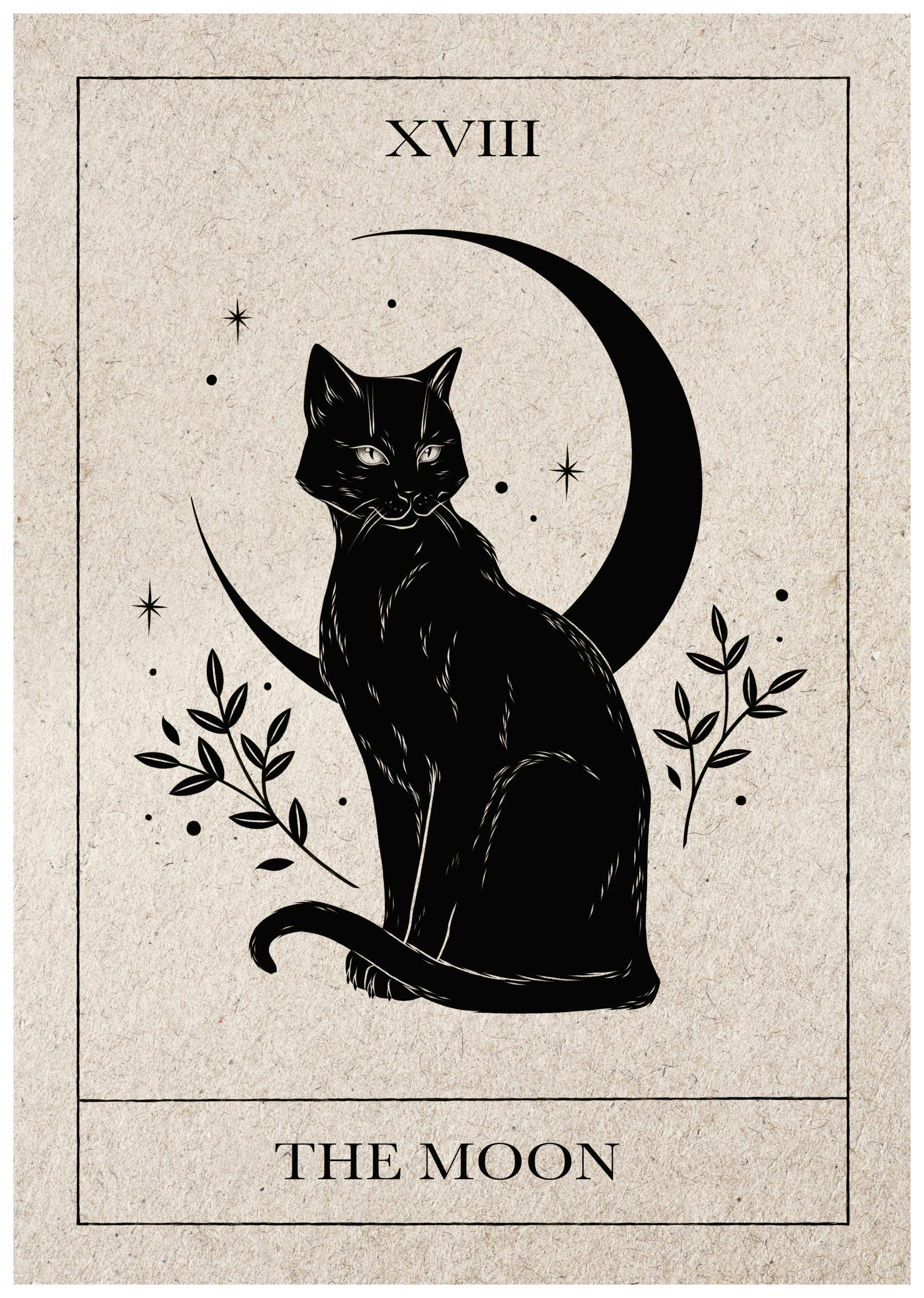 A hold tarot kártya poszter (30x40 cm) - Poster Store