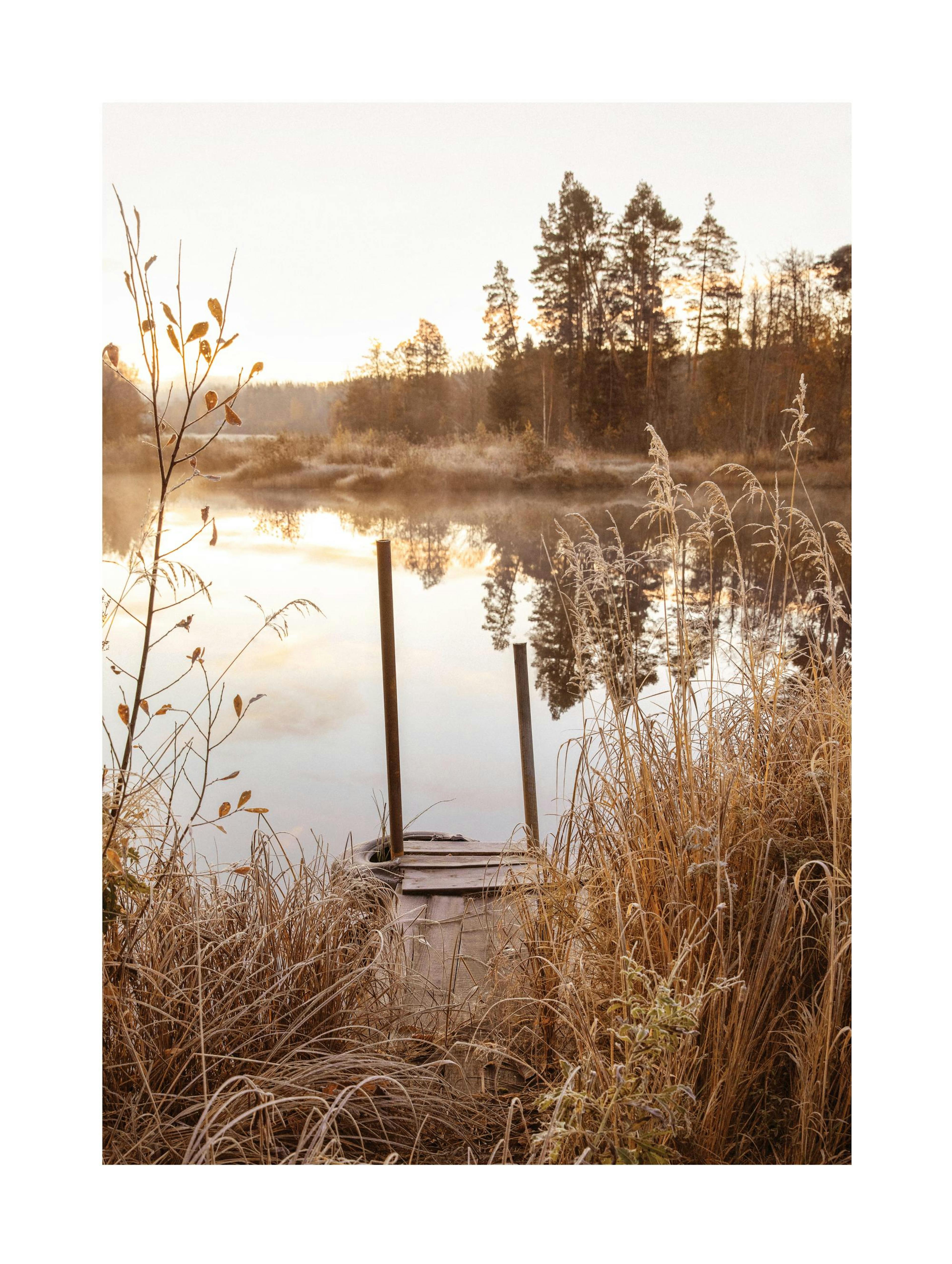 Morning Serenity Lake Poster thumbnail
