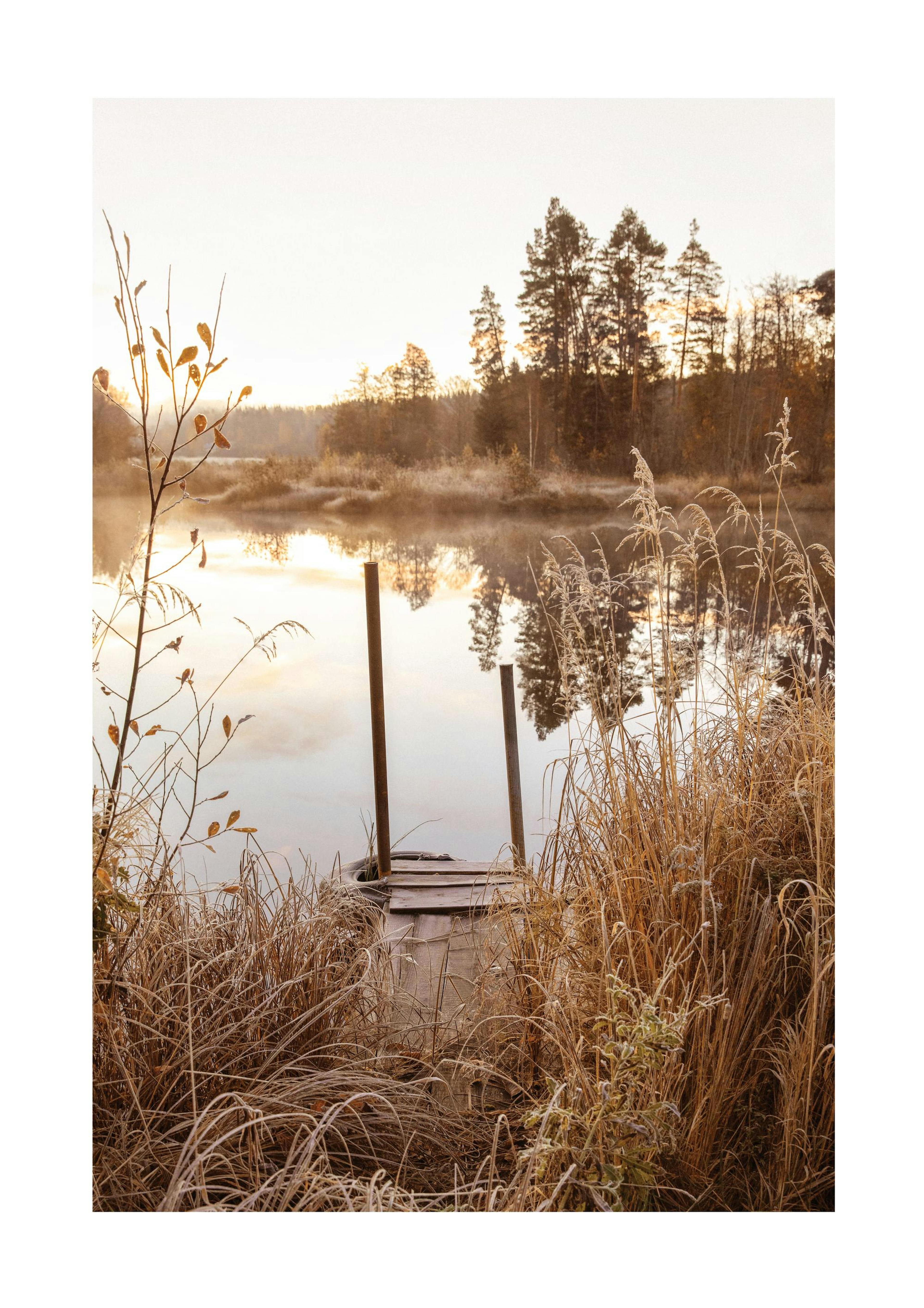 Sérénité du Matin au Lac Poster 0