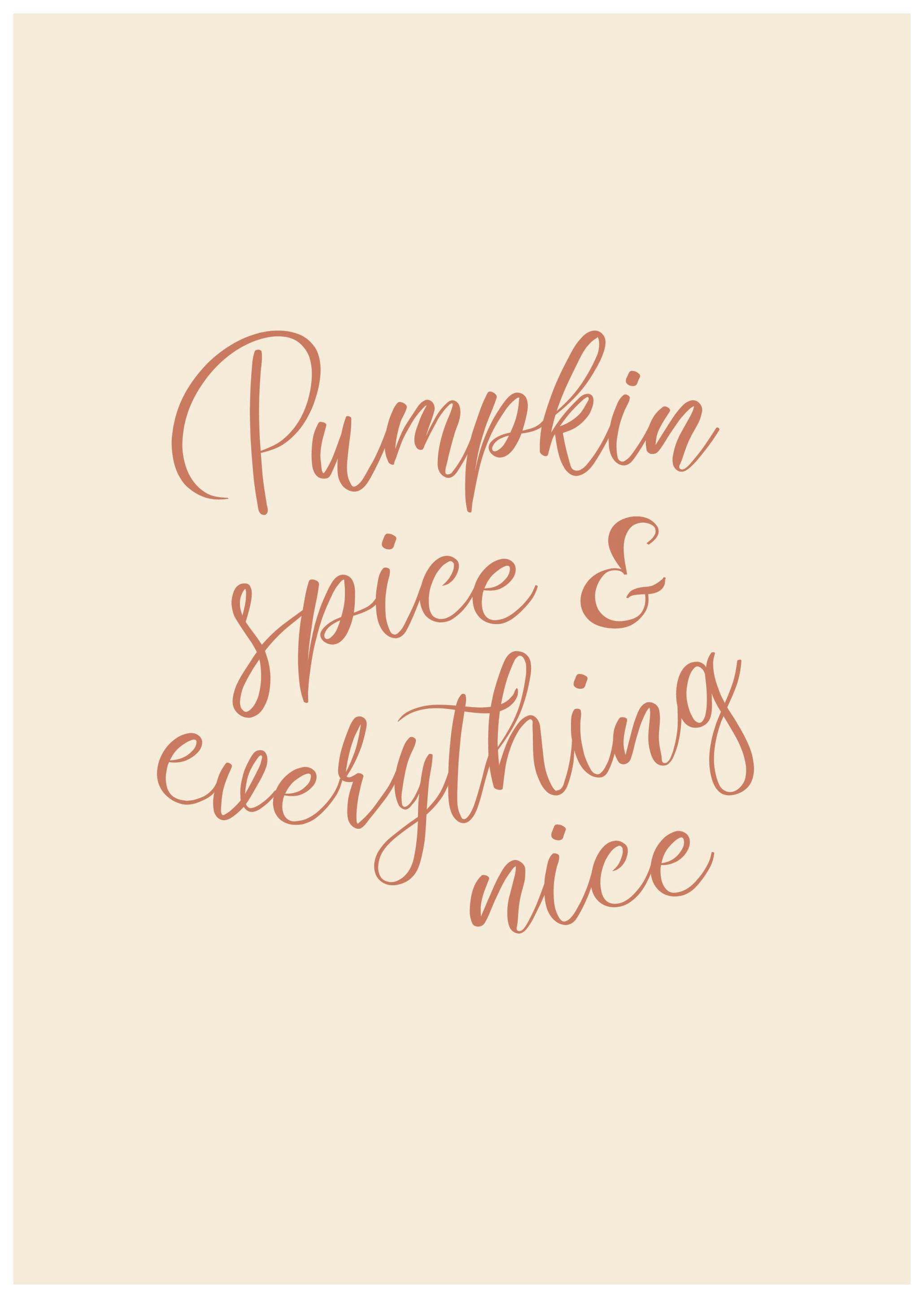 Pumpkin Spice and Everything Nice Poster (30x40 cm) - Poster Store