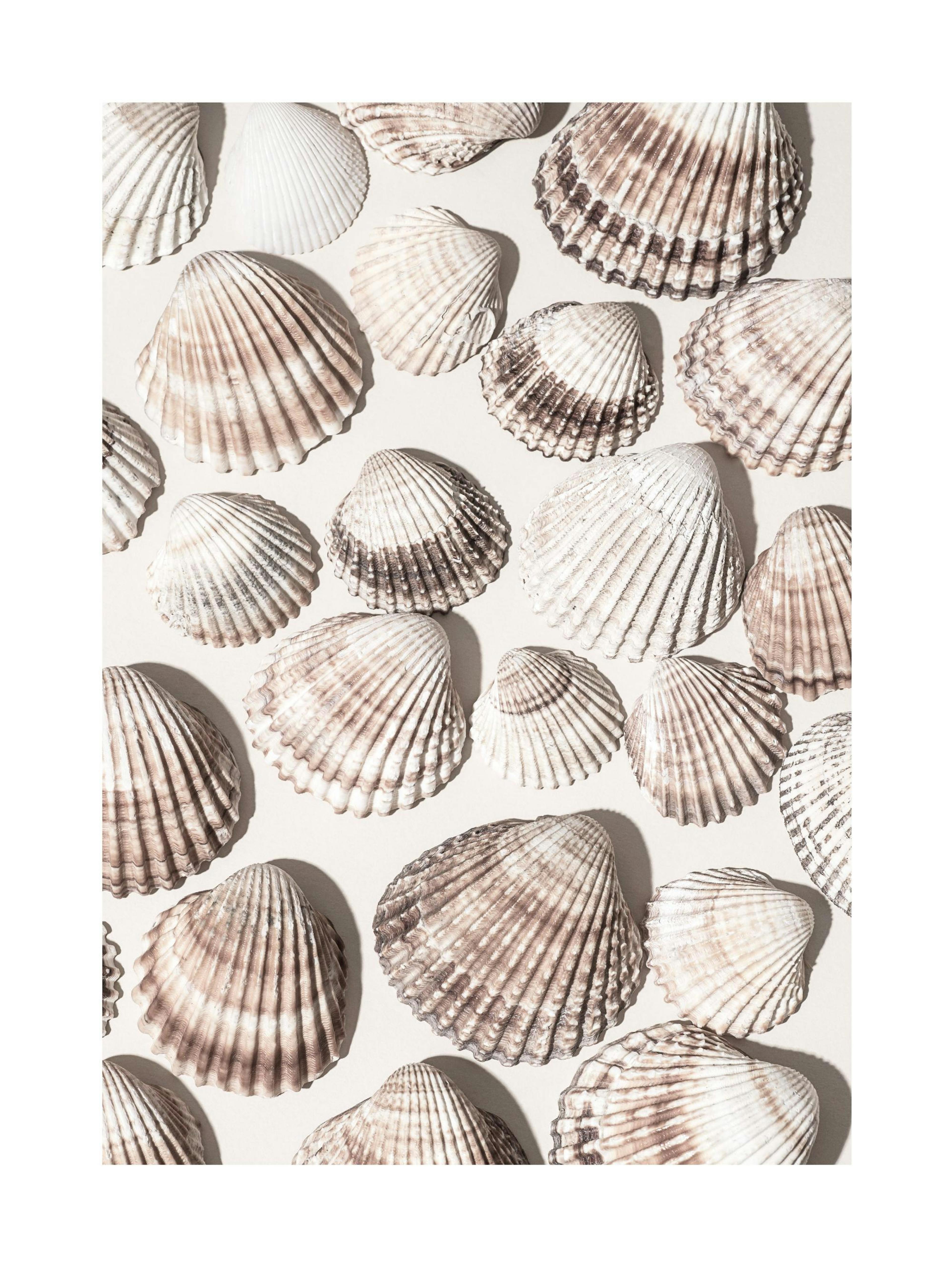 Trésors Marins Affiche 0