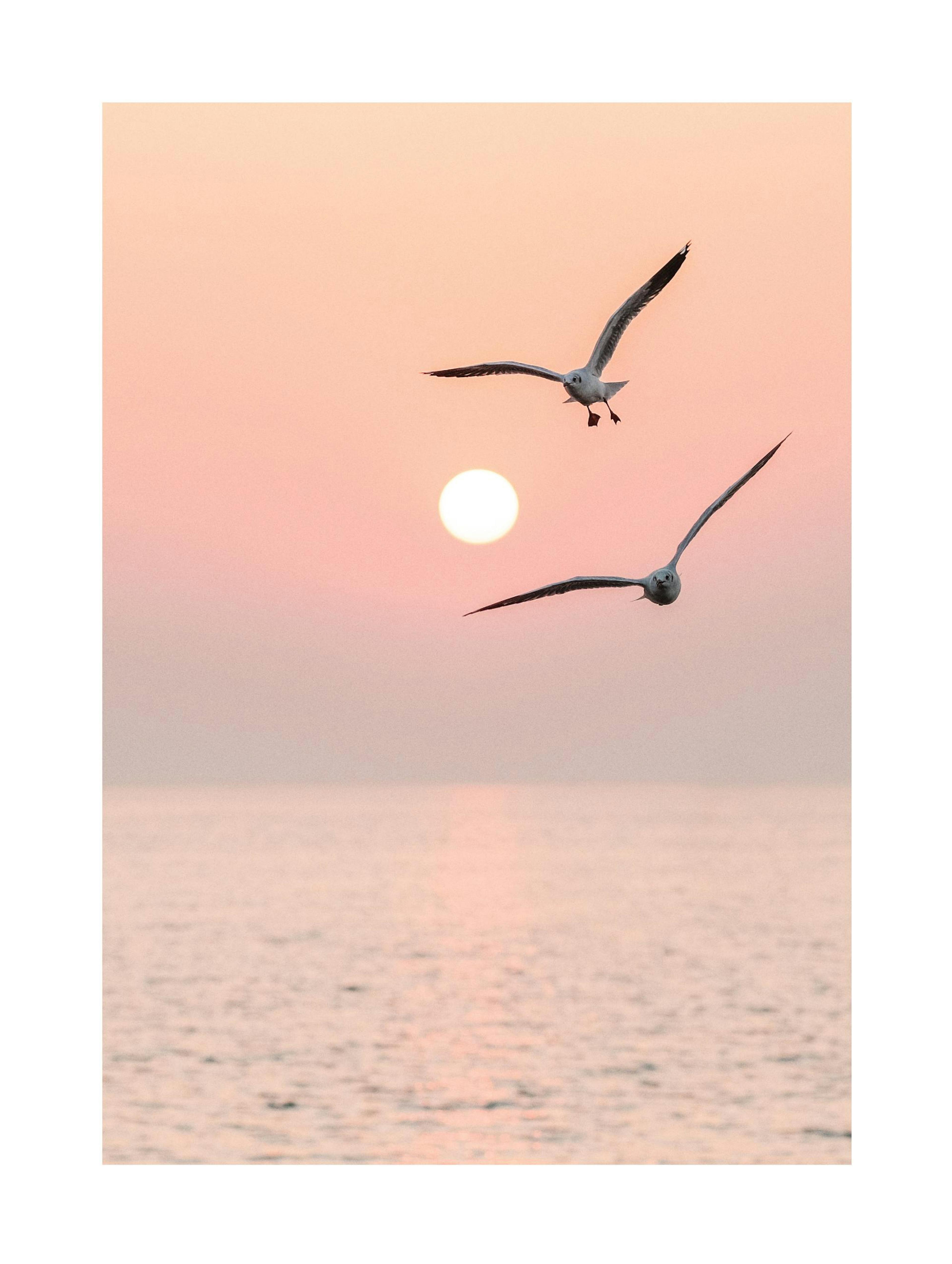 Duo Volant Affiche 0
