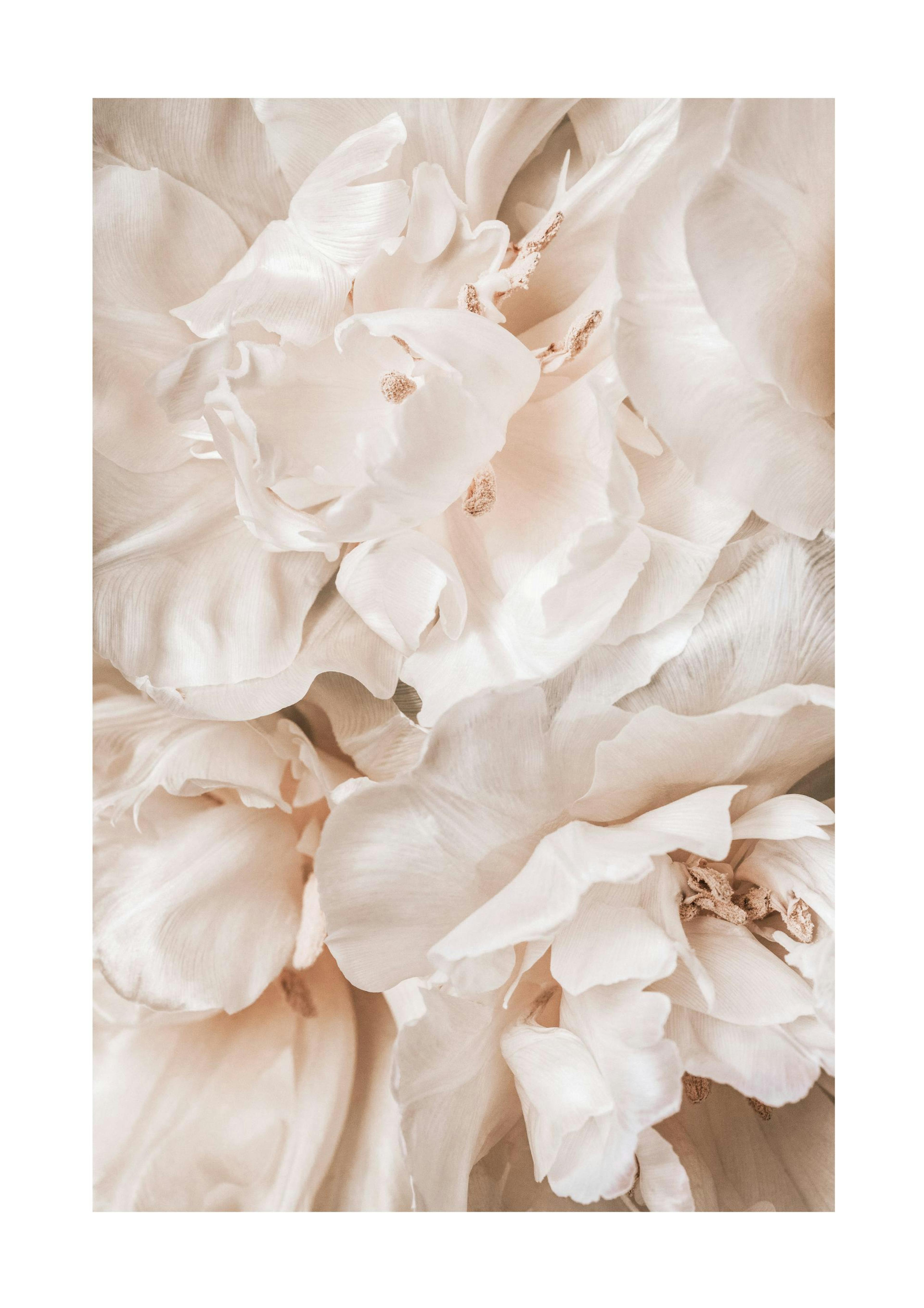 Soothing Blossoms Poster thumbnail