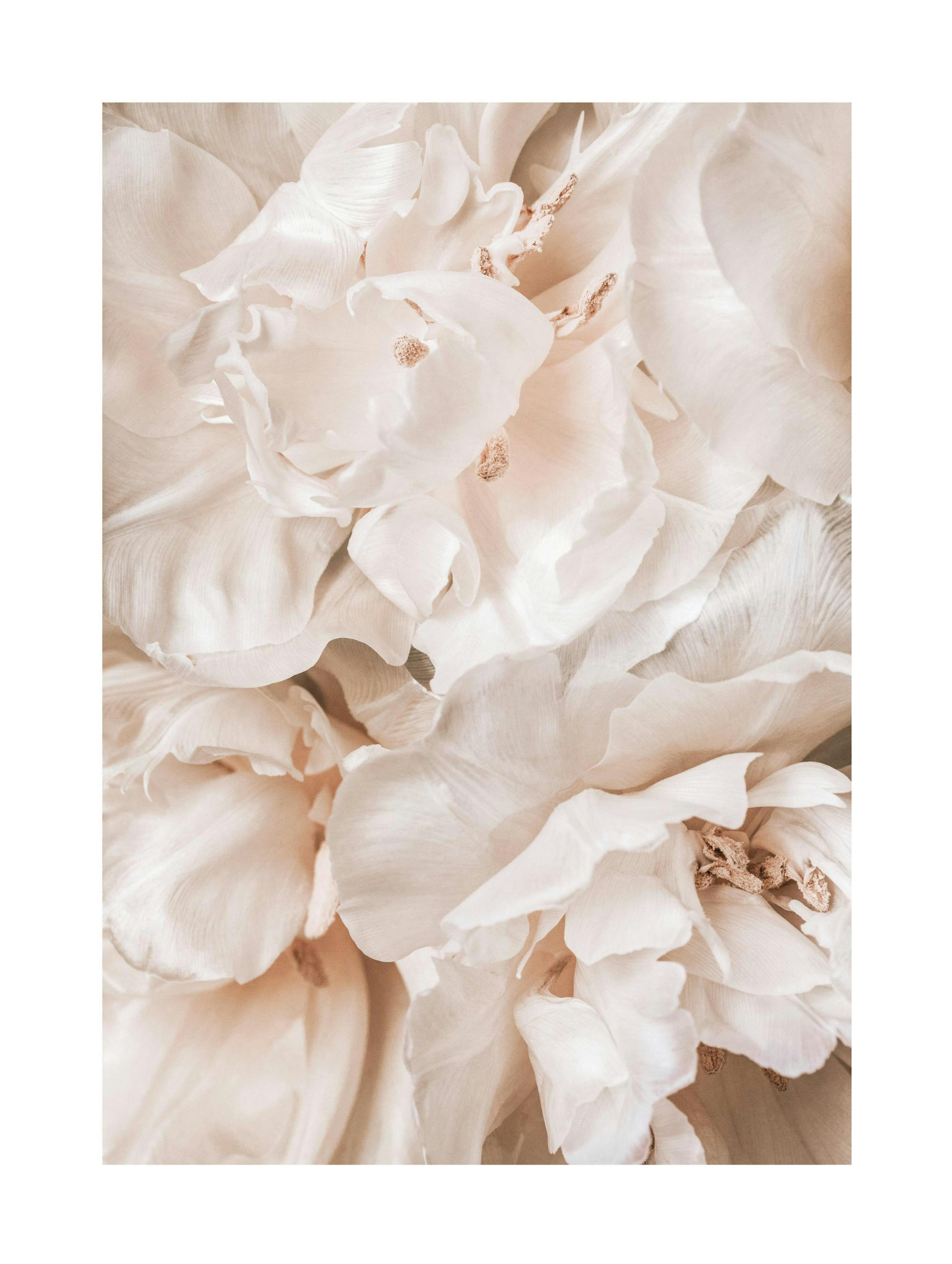 Soothing Blossoms Poster thumbnail