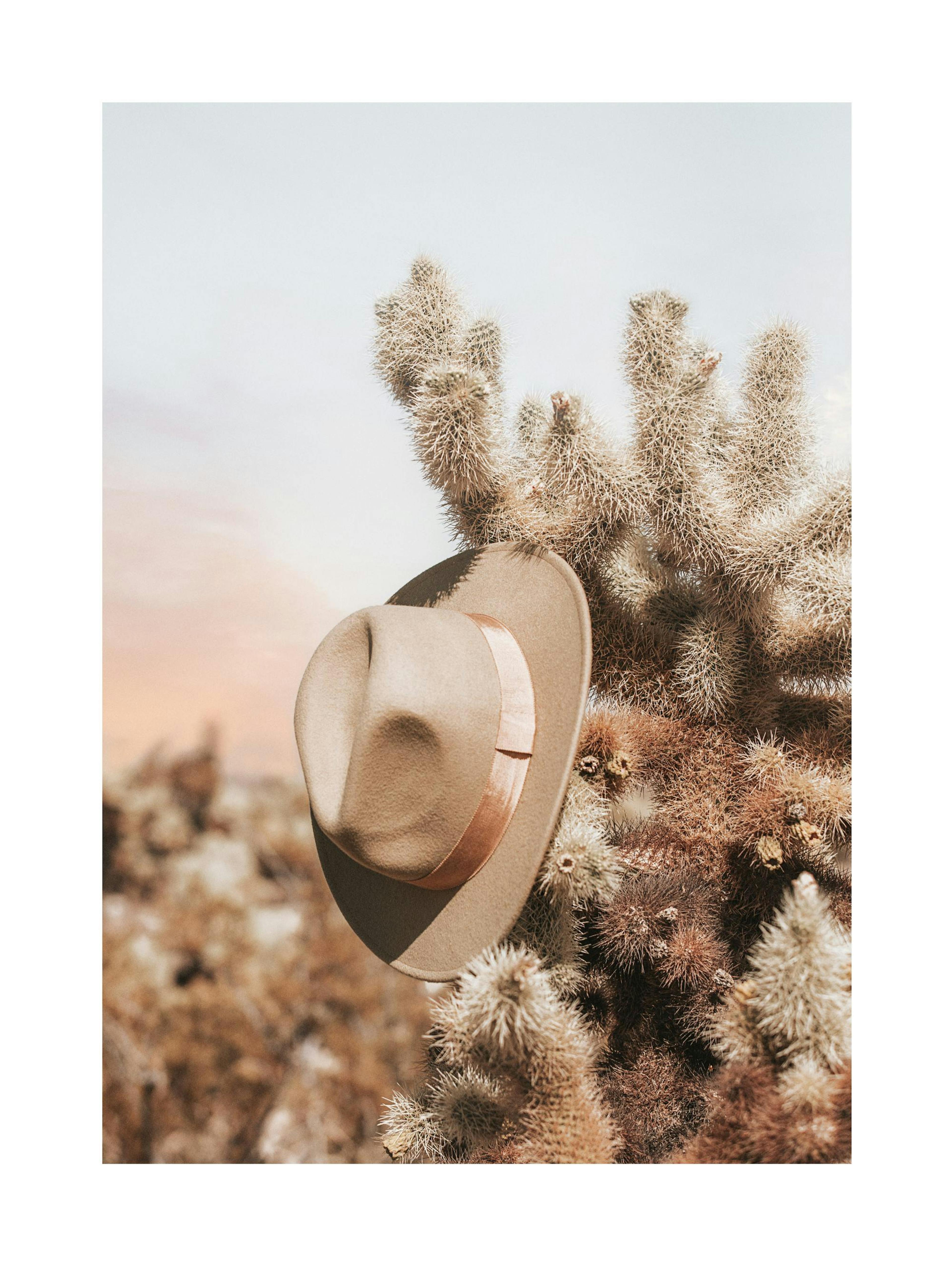 Hat in the Wild Poster thumbnail