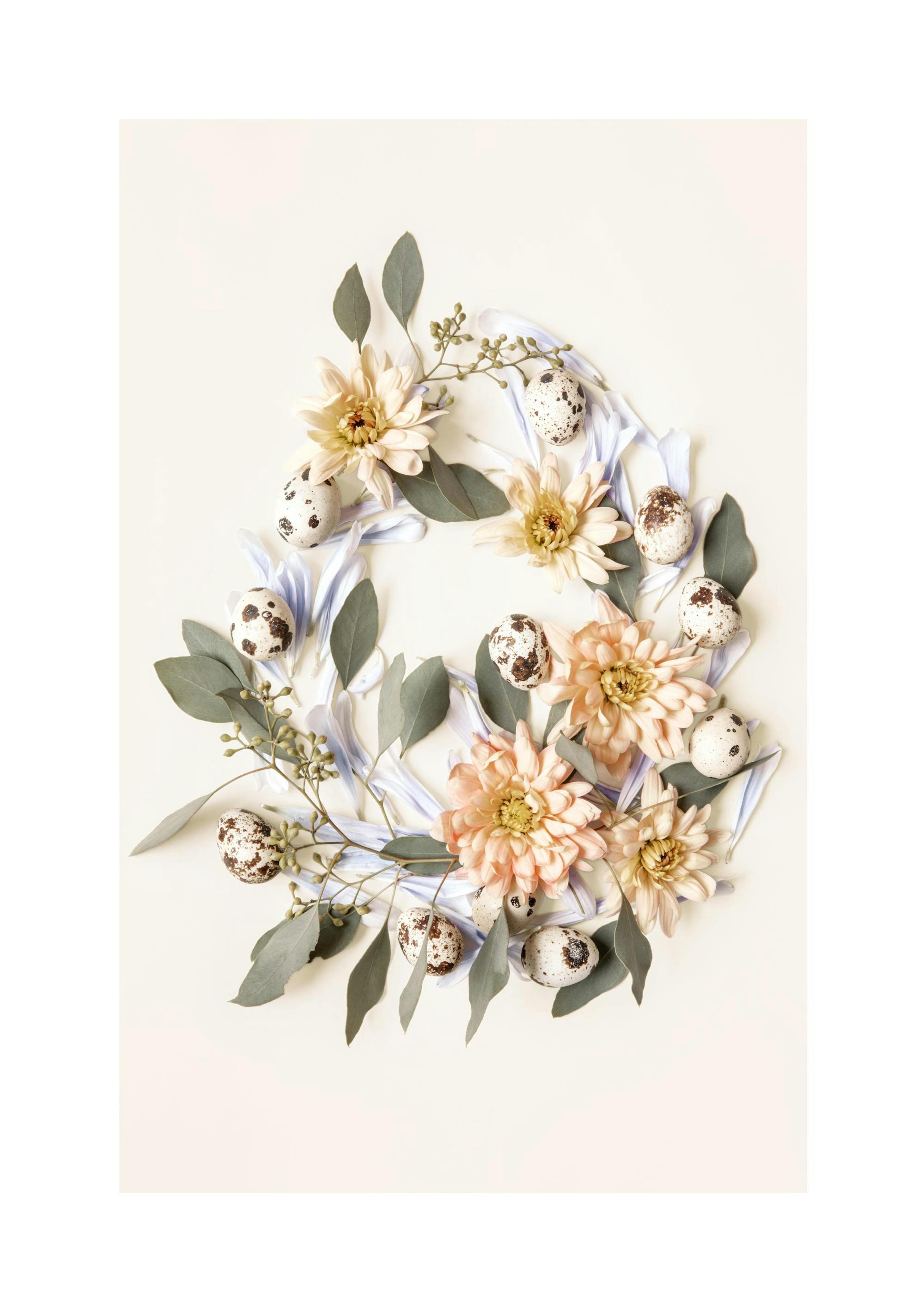 Botanical Egg Shape Poster thumbnail