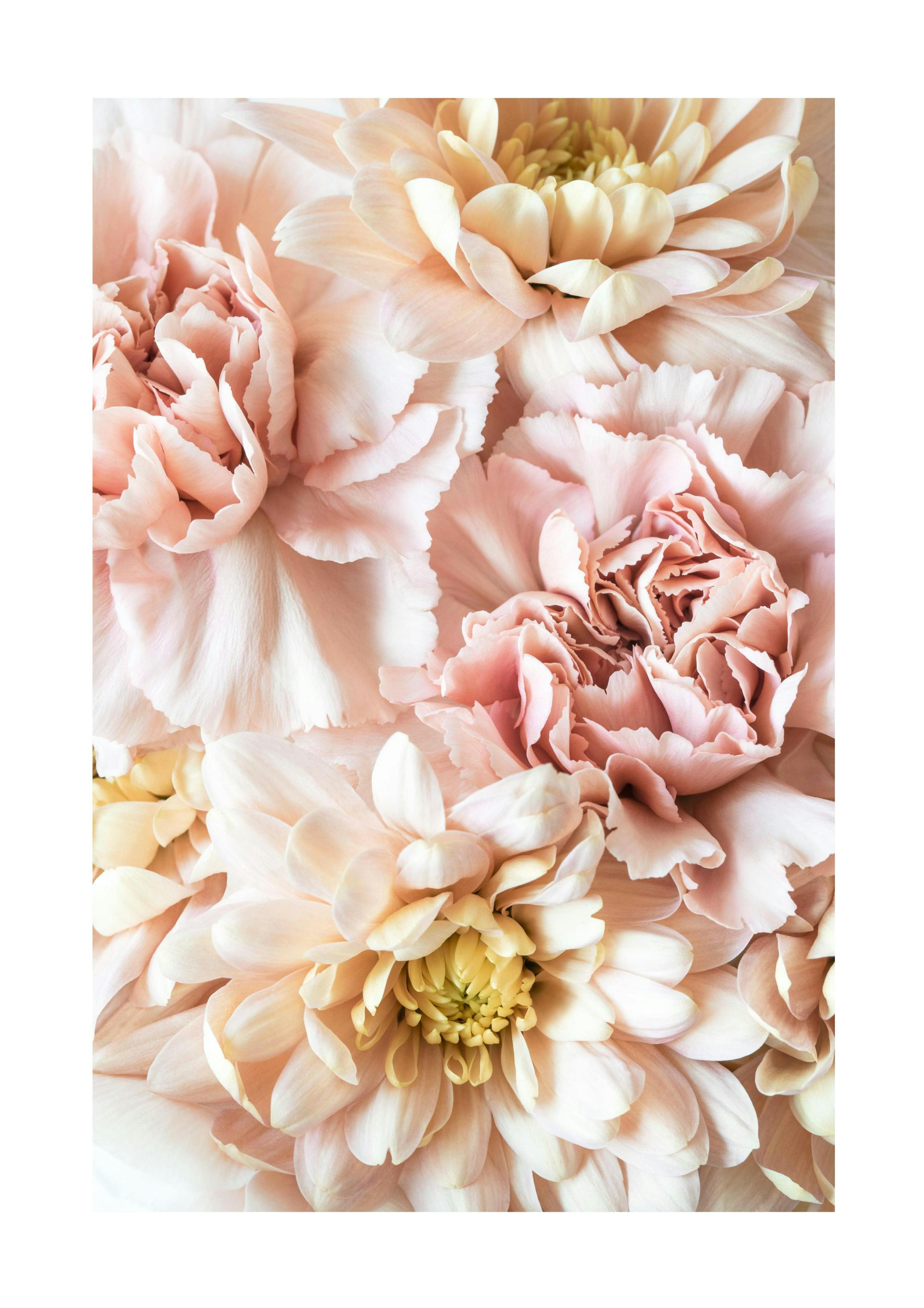Póster de flores rosas thumbnail