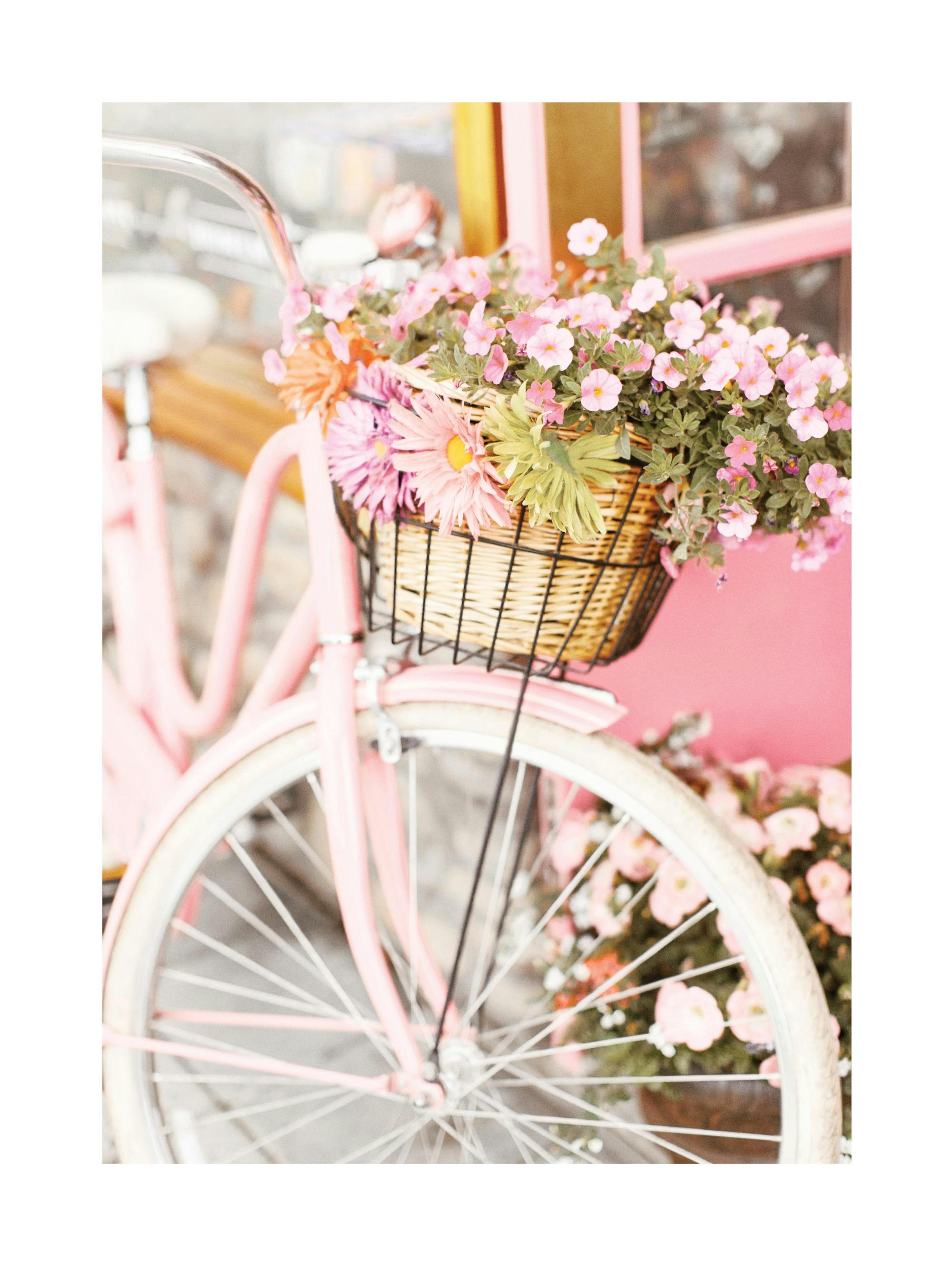 Roze fiets met bloemen poster thumbnail
