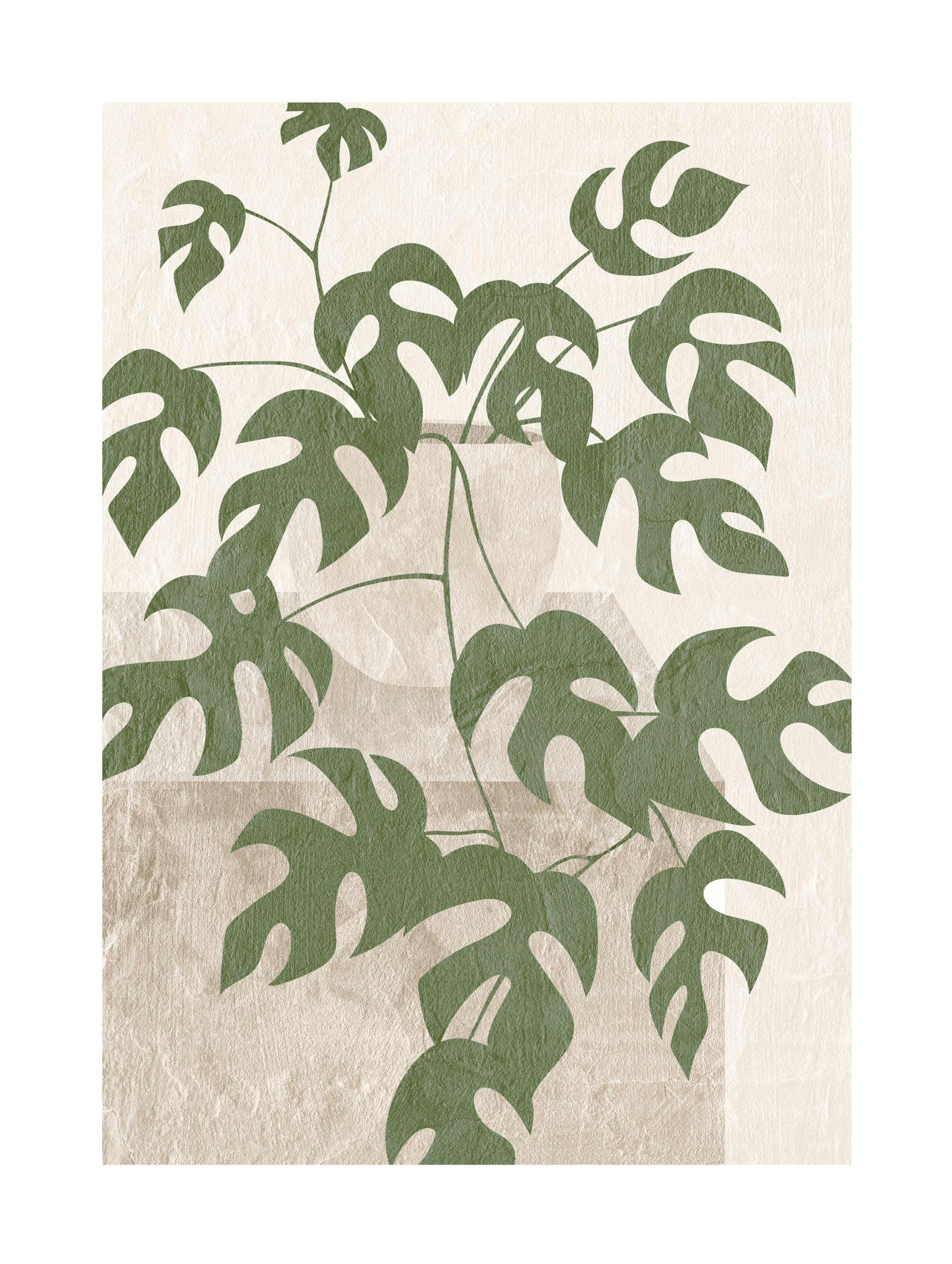 Illustrazione di Monstera Poster 0