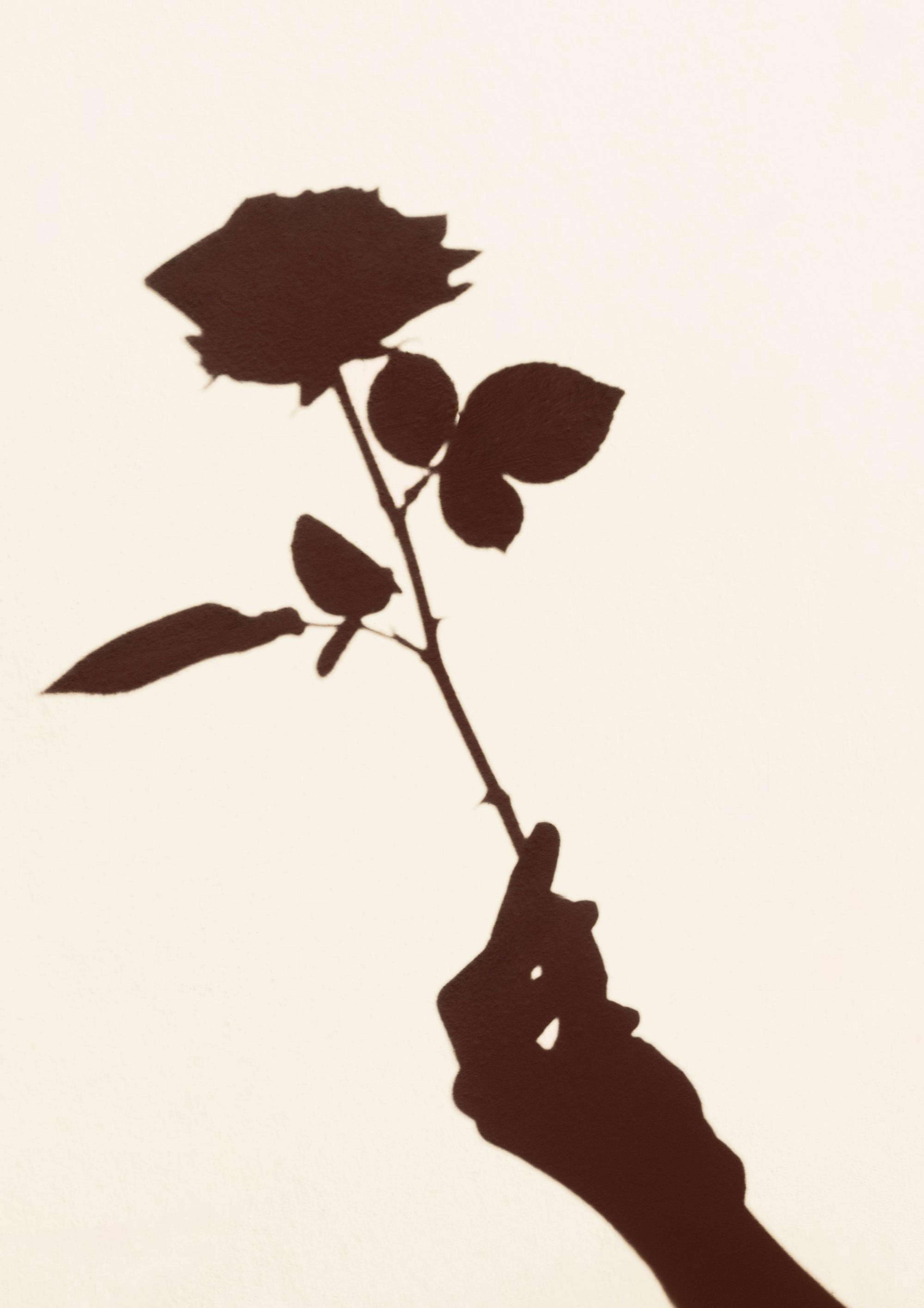 Schatten Rose Poster thumbnail