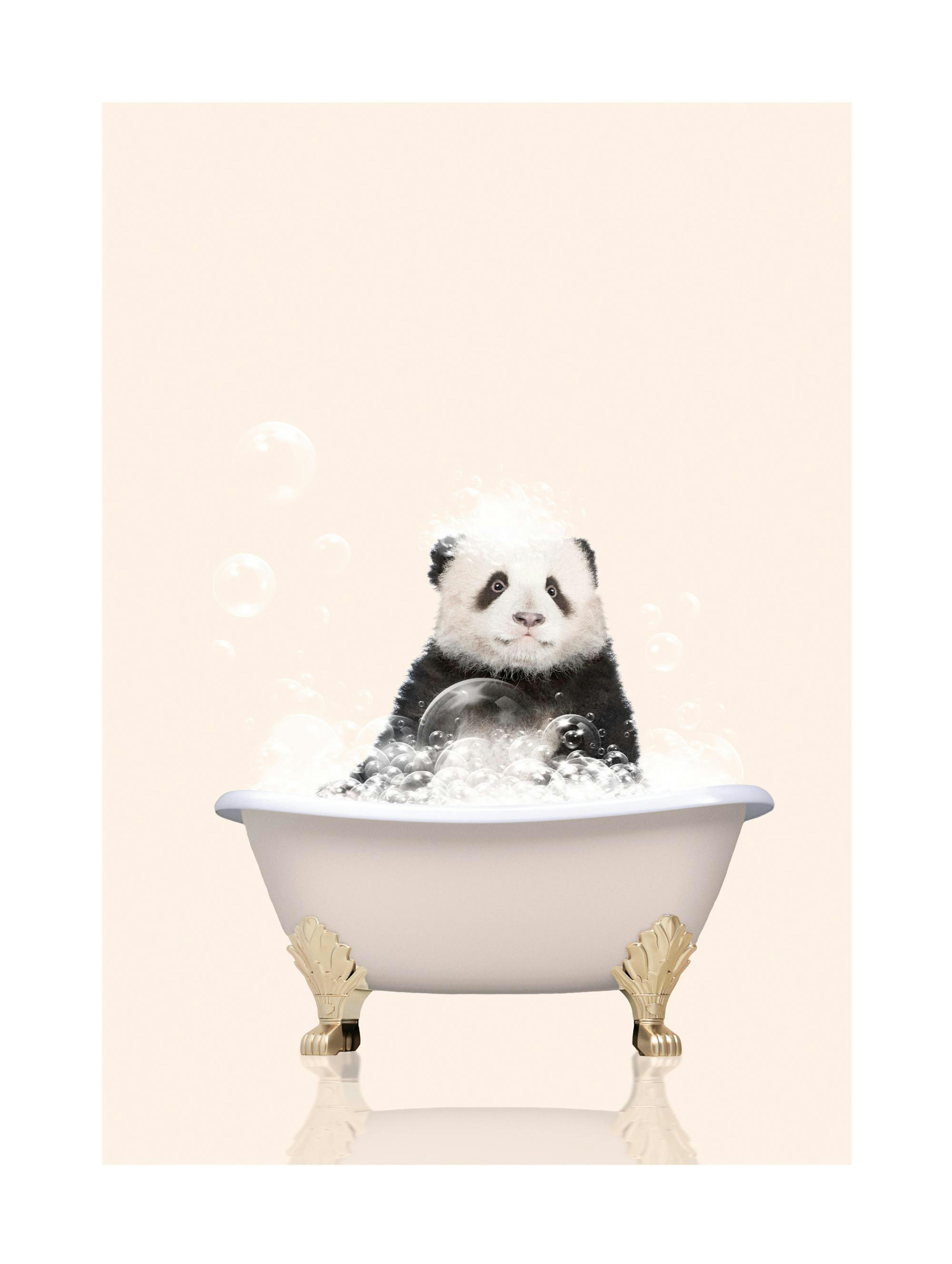 Panda in Bathtub Poster thumbnail