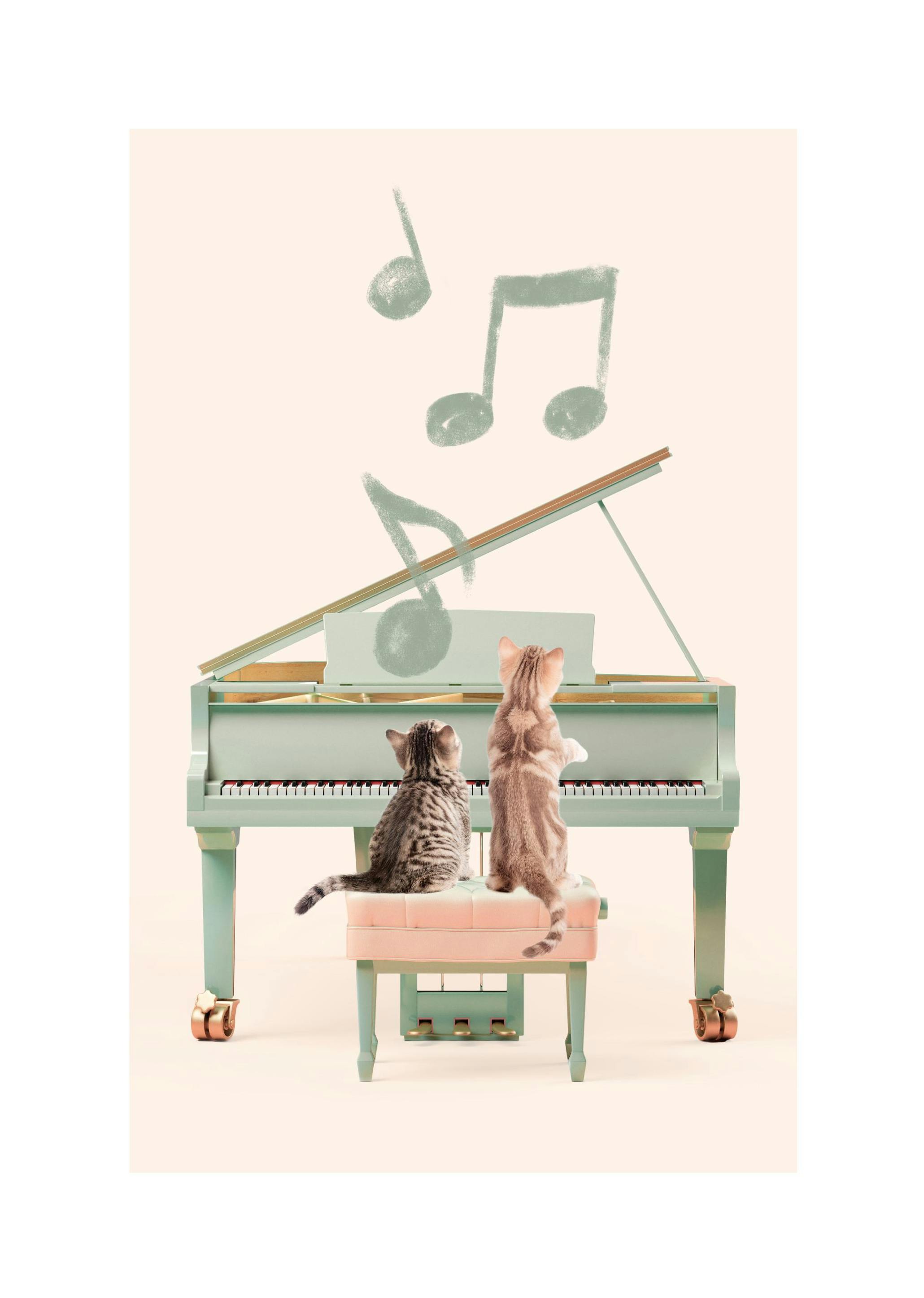 Katzen spielen Klavier Poster (21x30 cm) - Poster Store