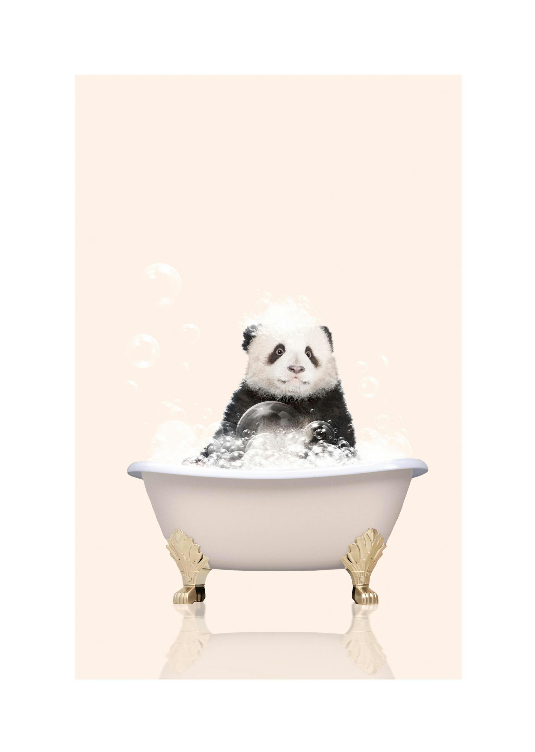 Stampe sul panda nella vasca da bagno (21x30 cm) - Poster Store