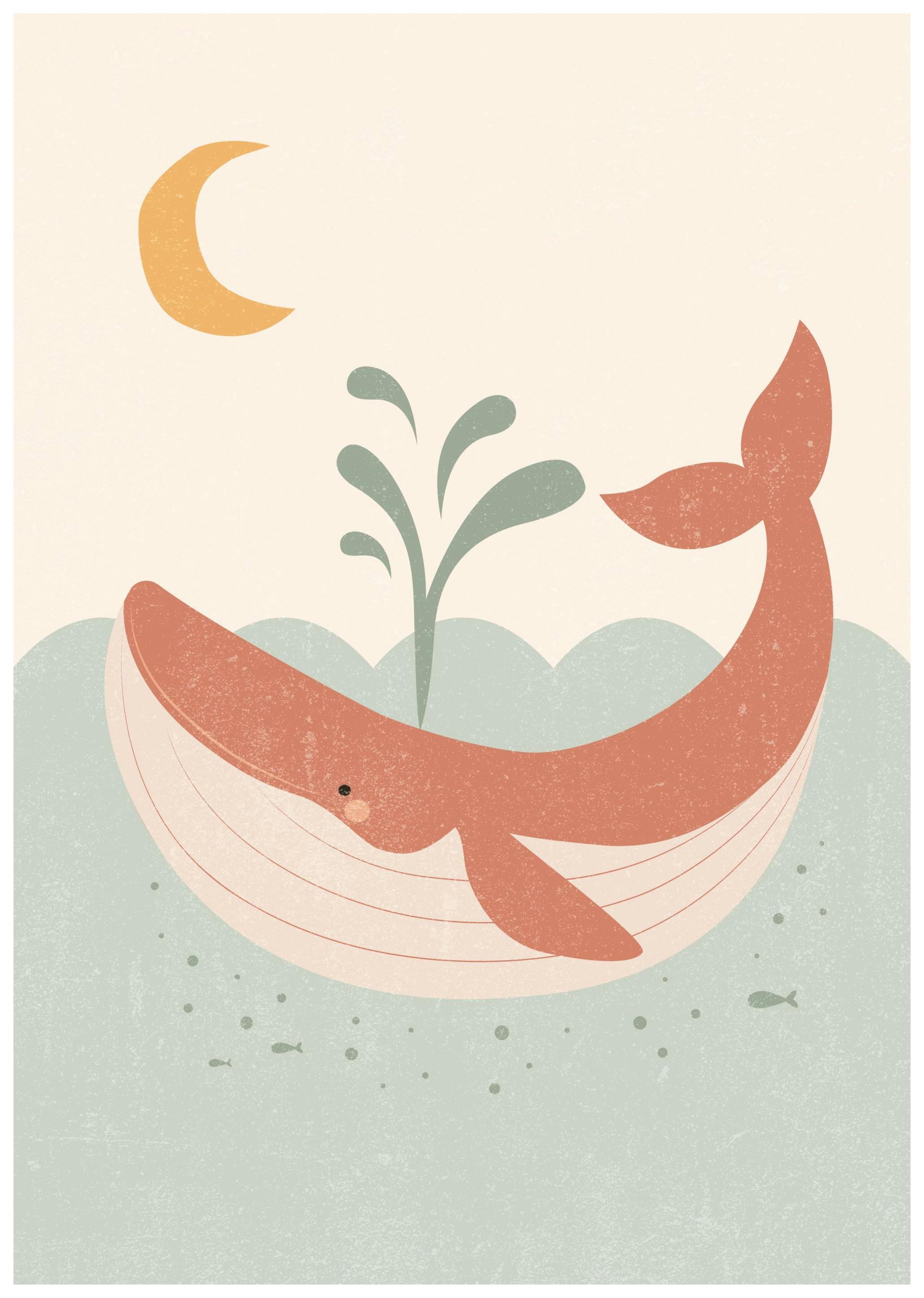 Happy Whale Poster (21x30 cm) - Poster Store