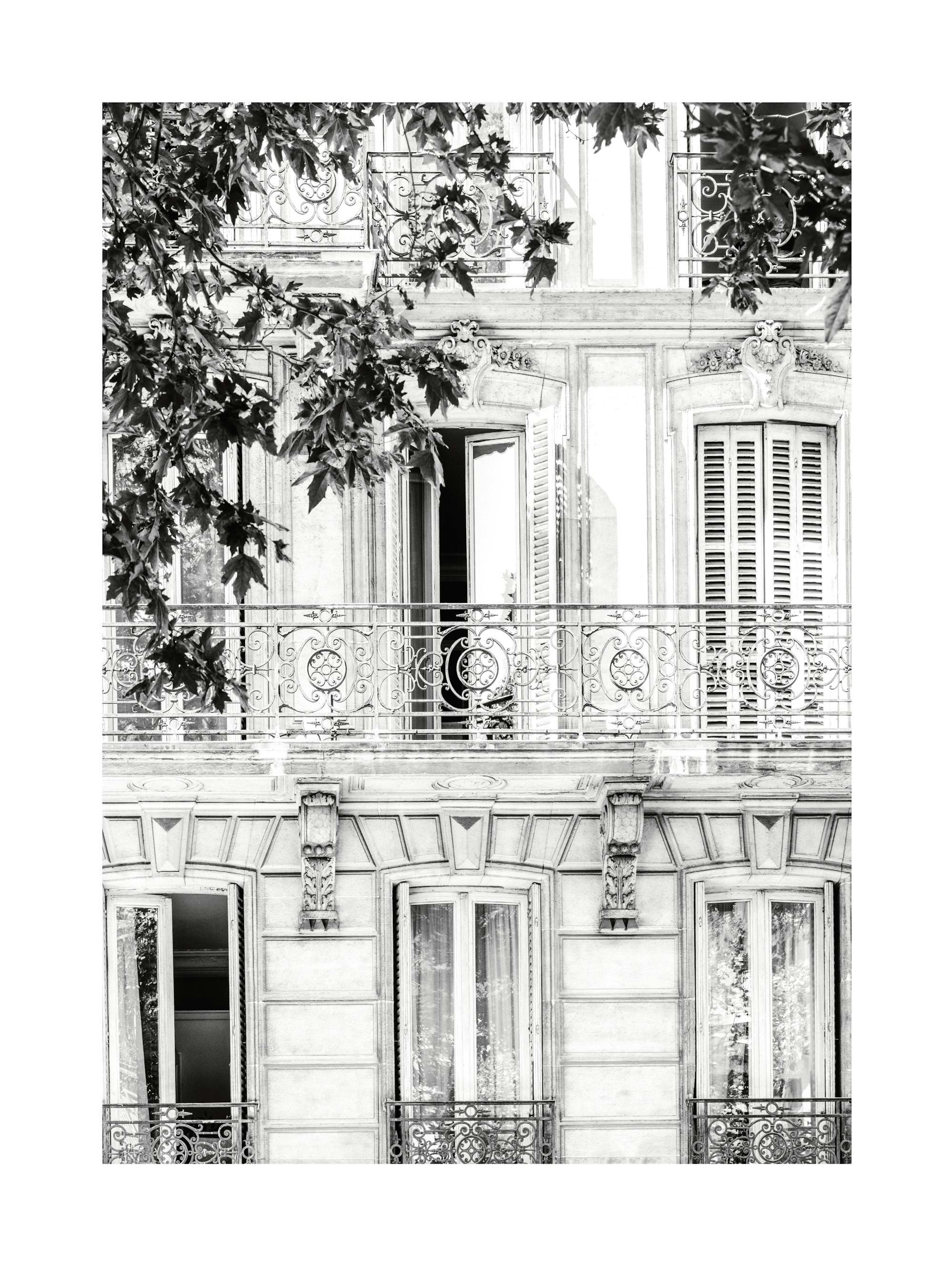 Monochrome Facade Poster thumbnail
