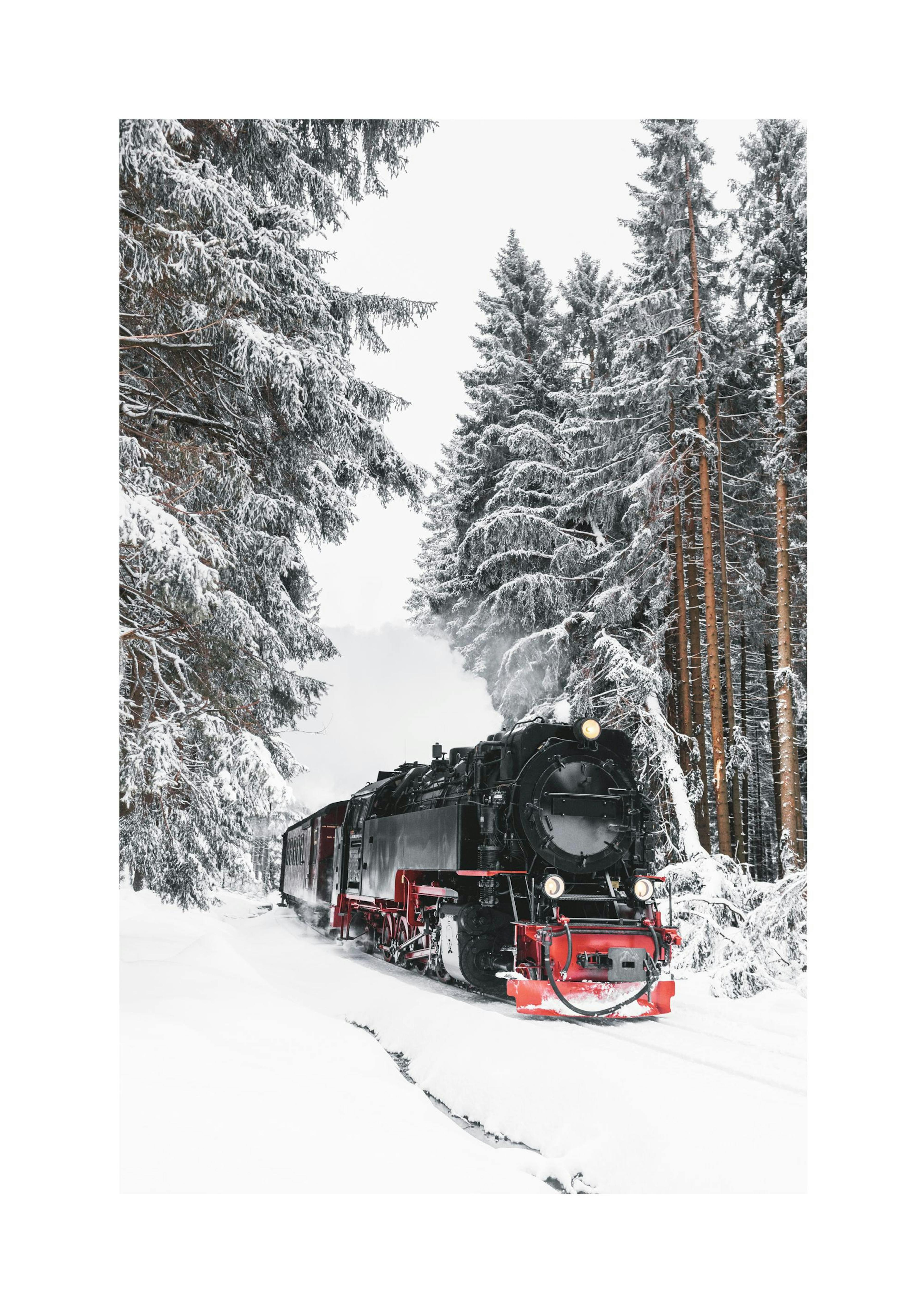 Tren de invierno Póster thumbnail