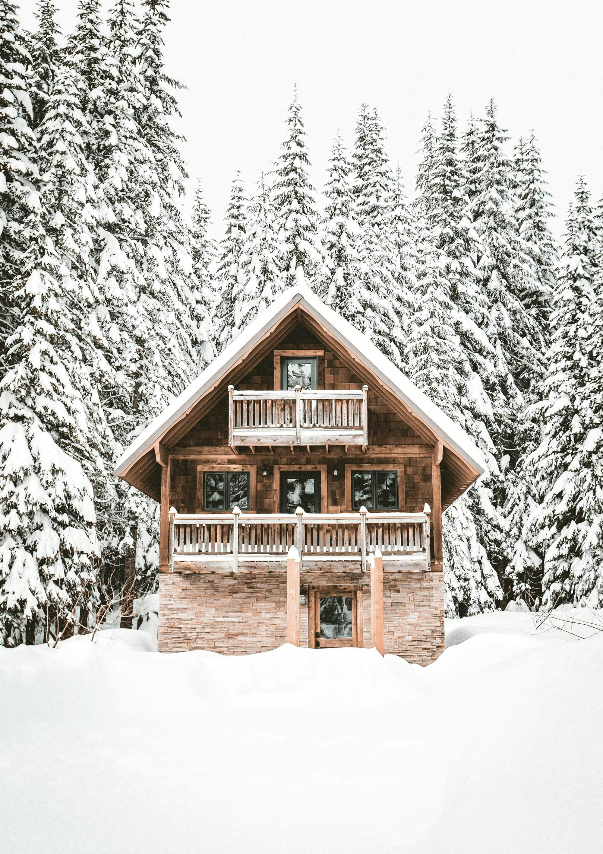 Holiday Cabin Poster 0