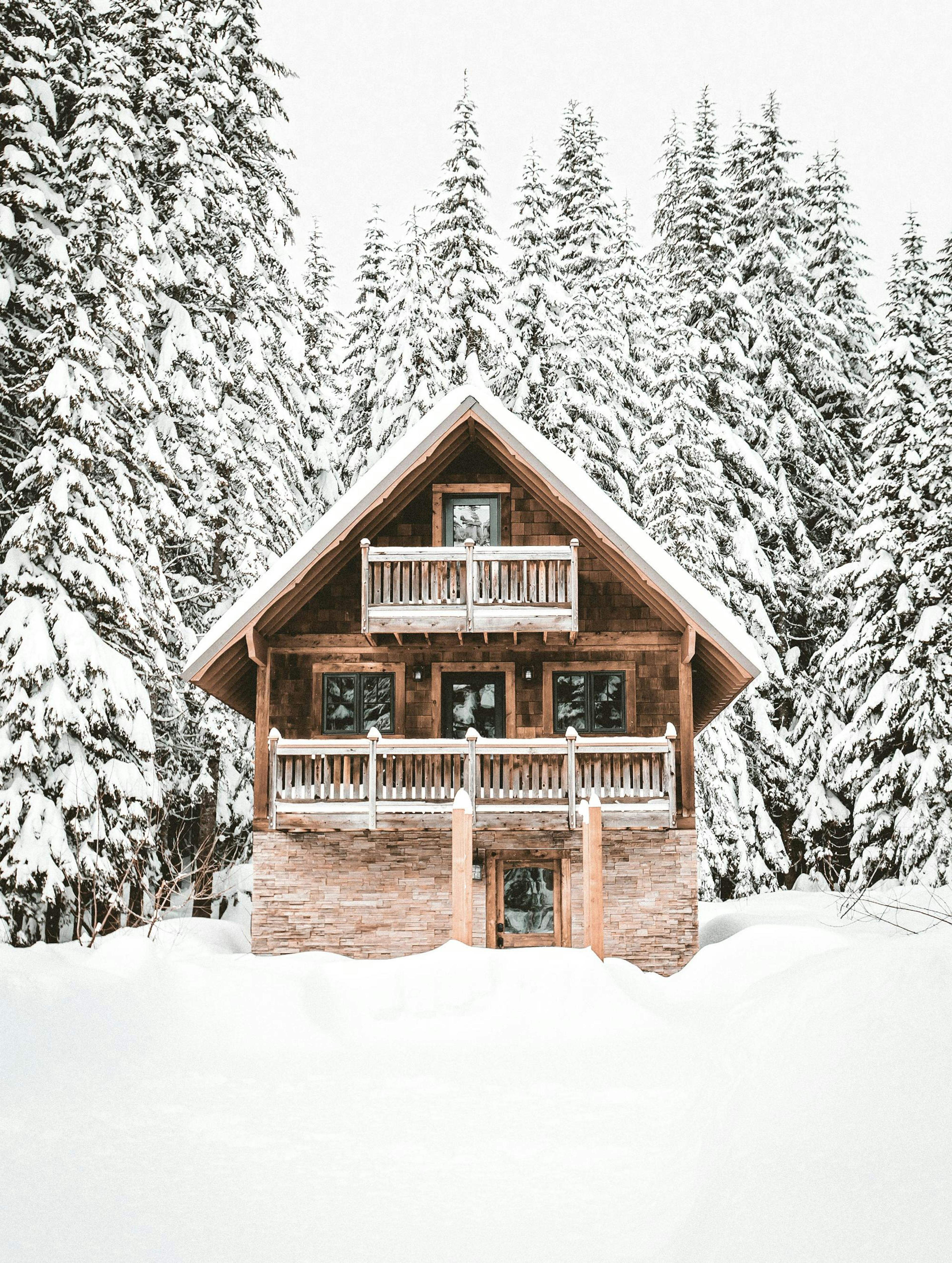 Holiday Cabin Poster 0