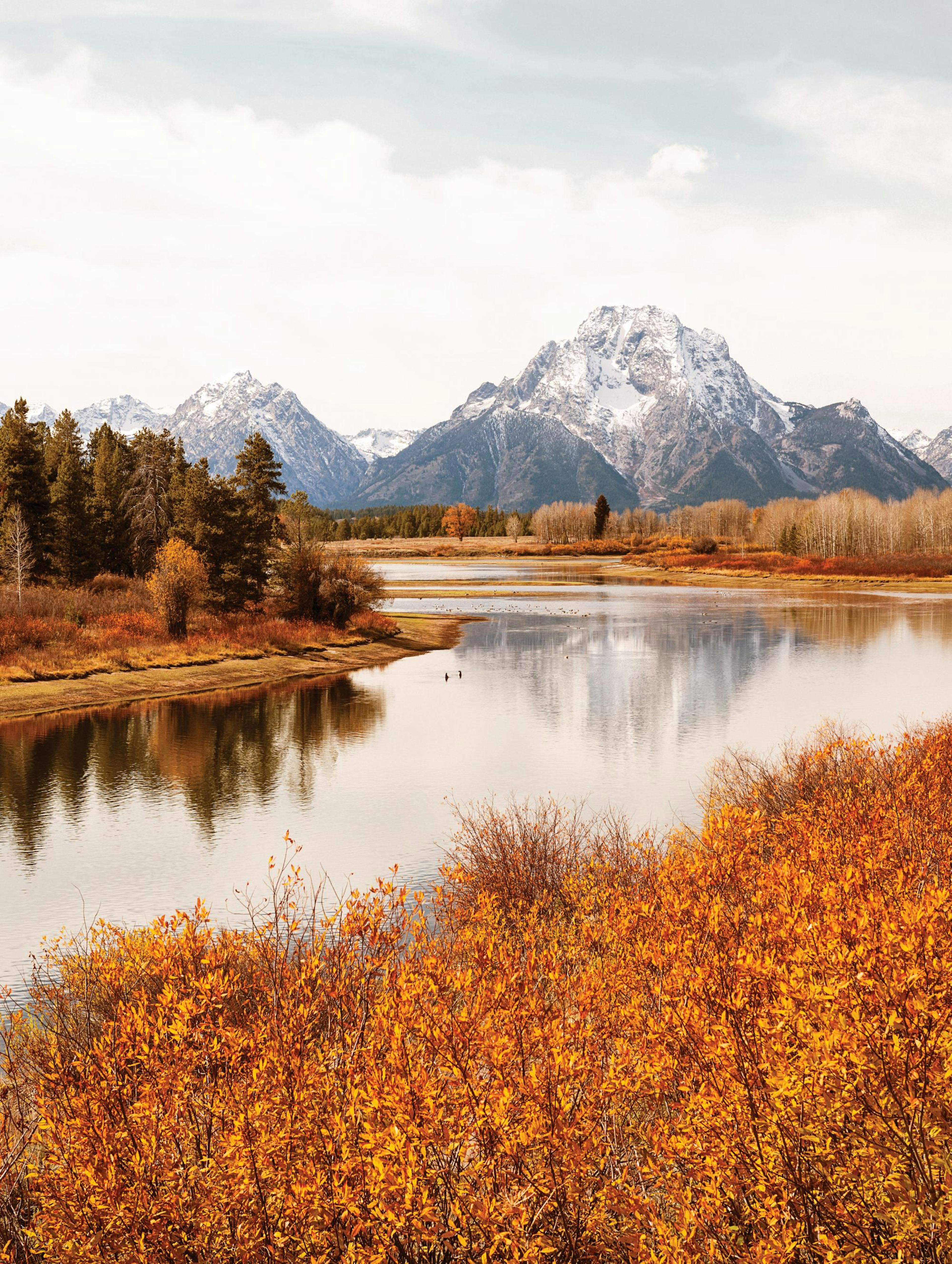 Plakat Oxbow Bend thumbnail