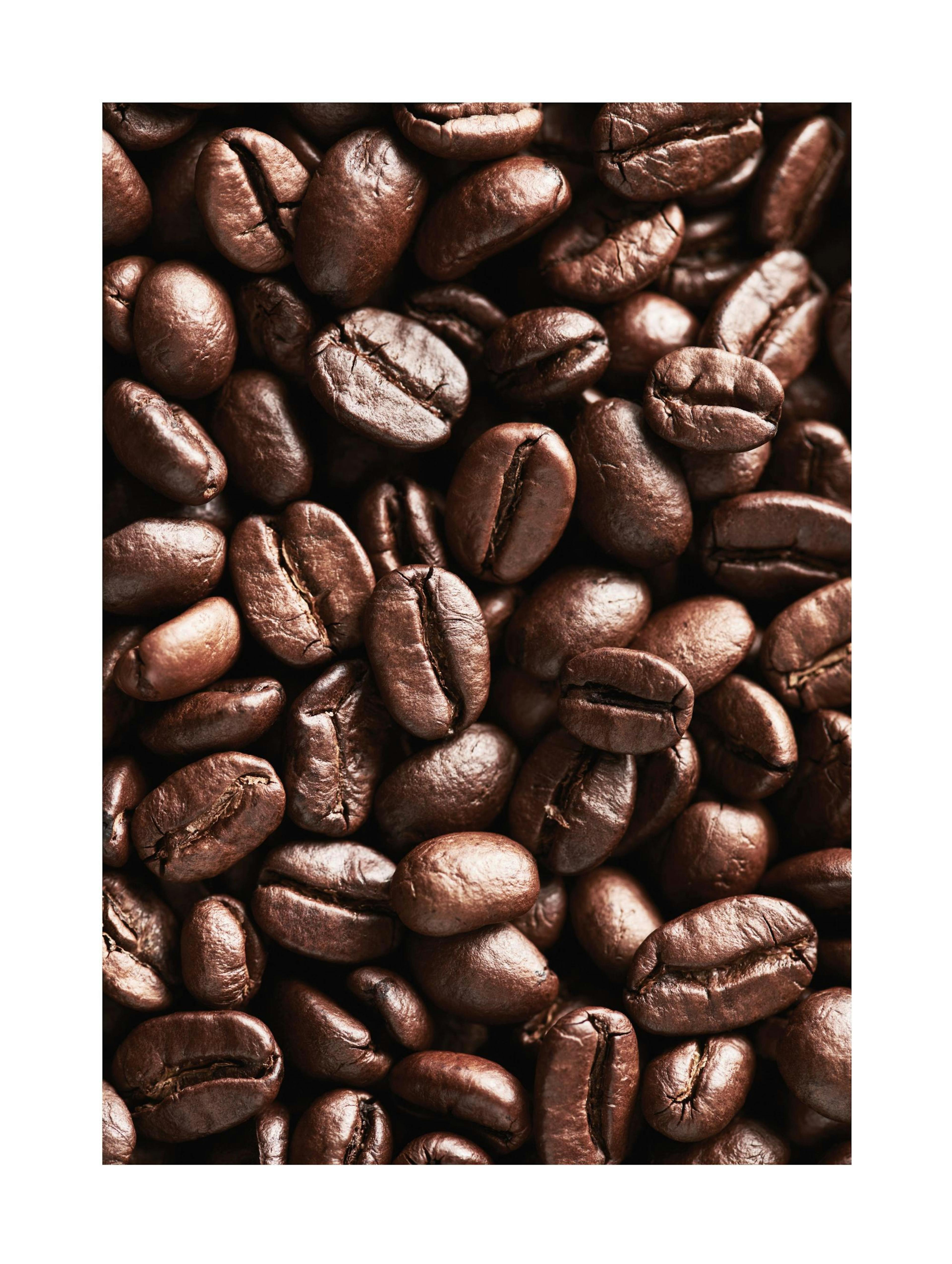 Coffee Beans Poster thumbnail