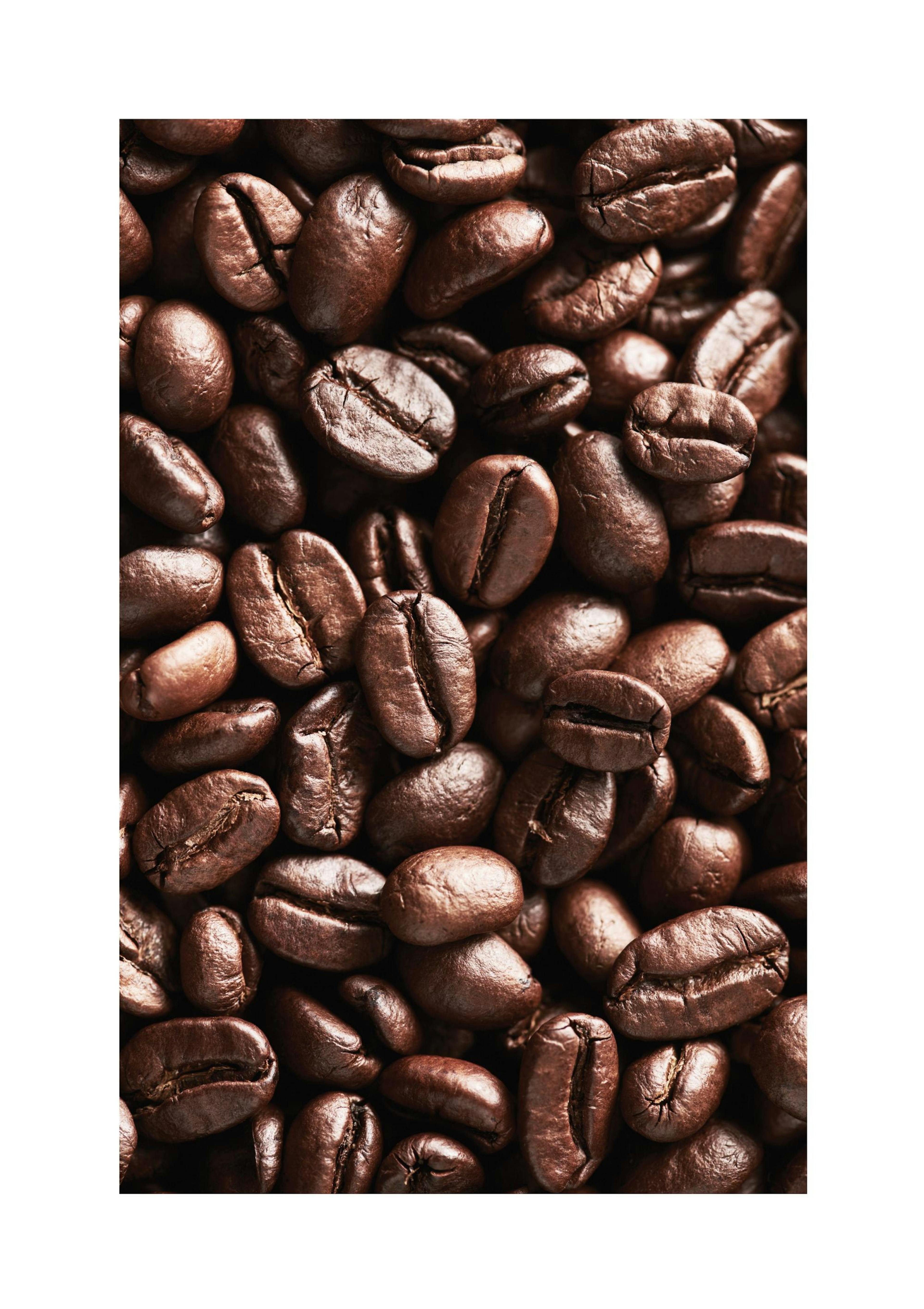 Kaffebønner plakat thumbnail