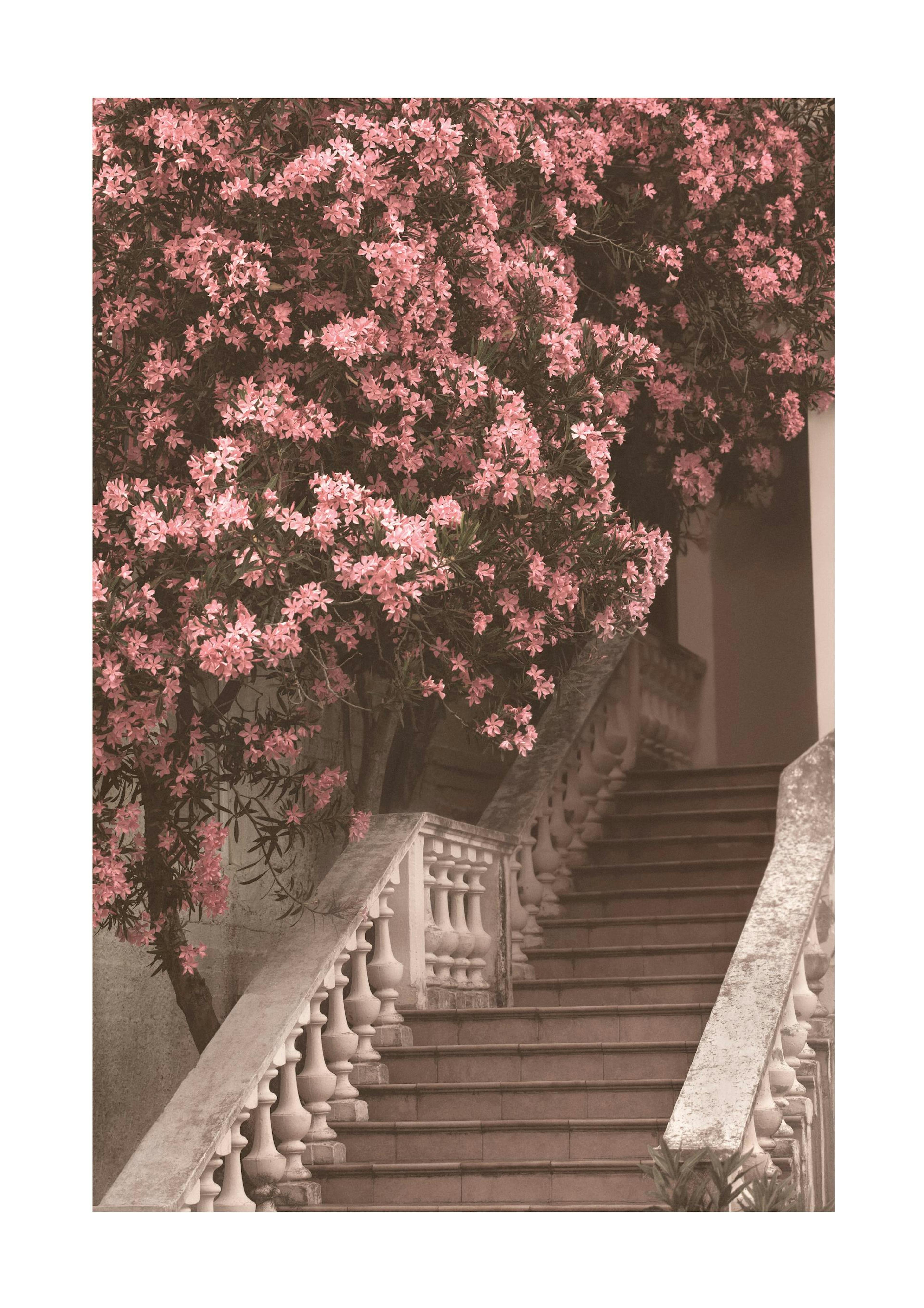 Plakat med blomstertrappe 0