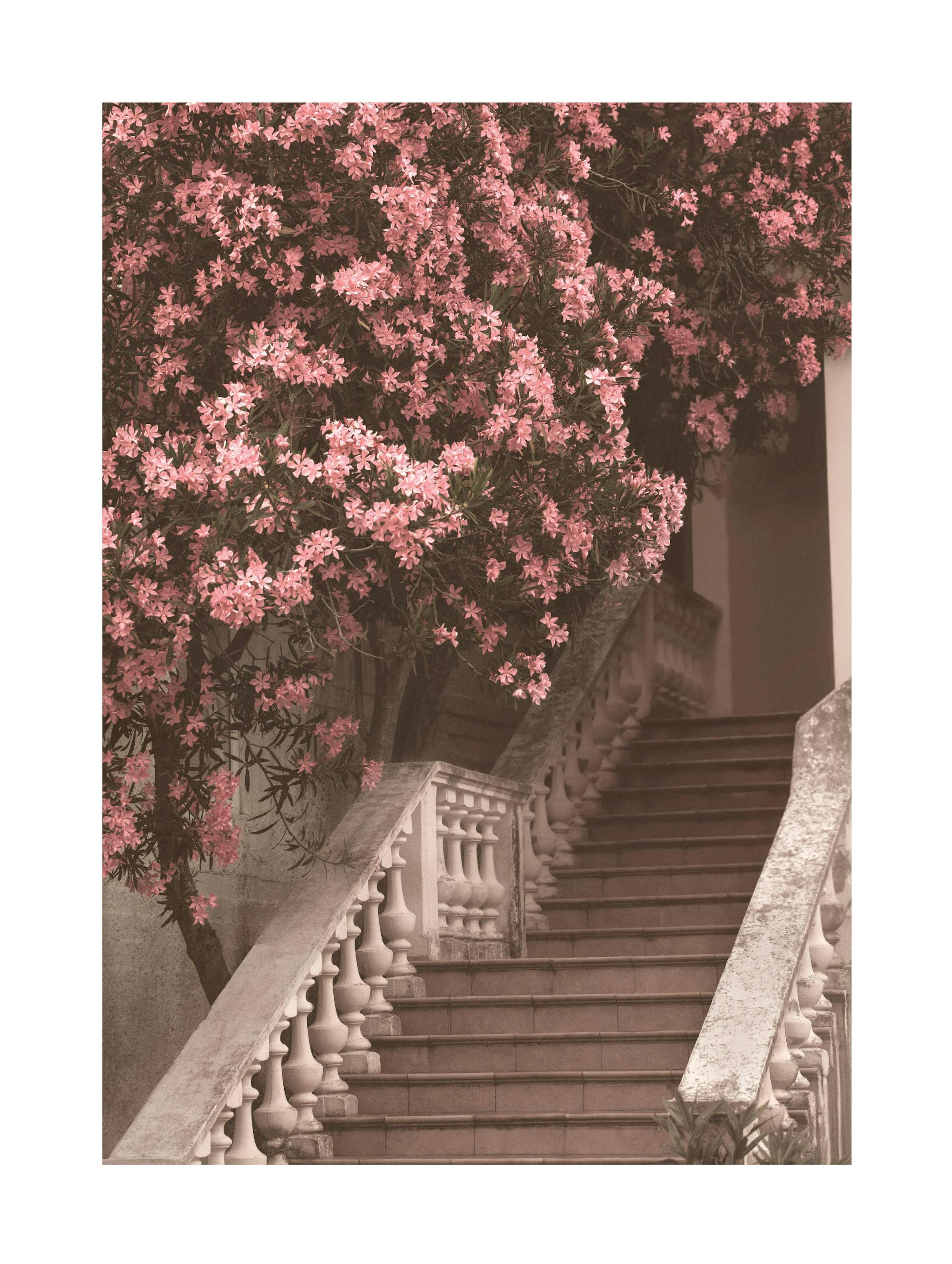 Flower Staircase Poster thumbnail
