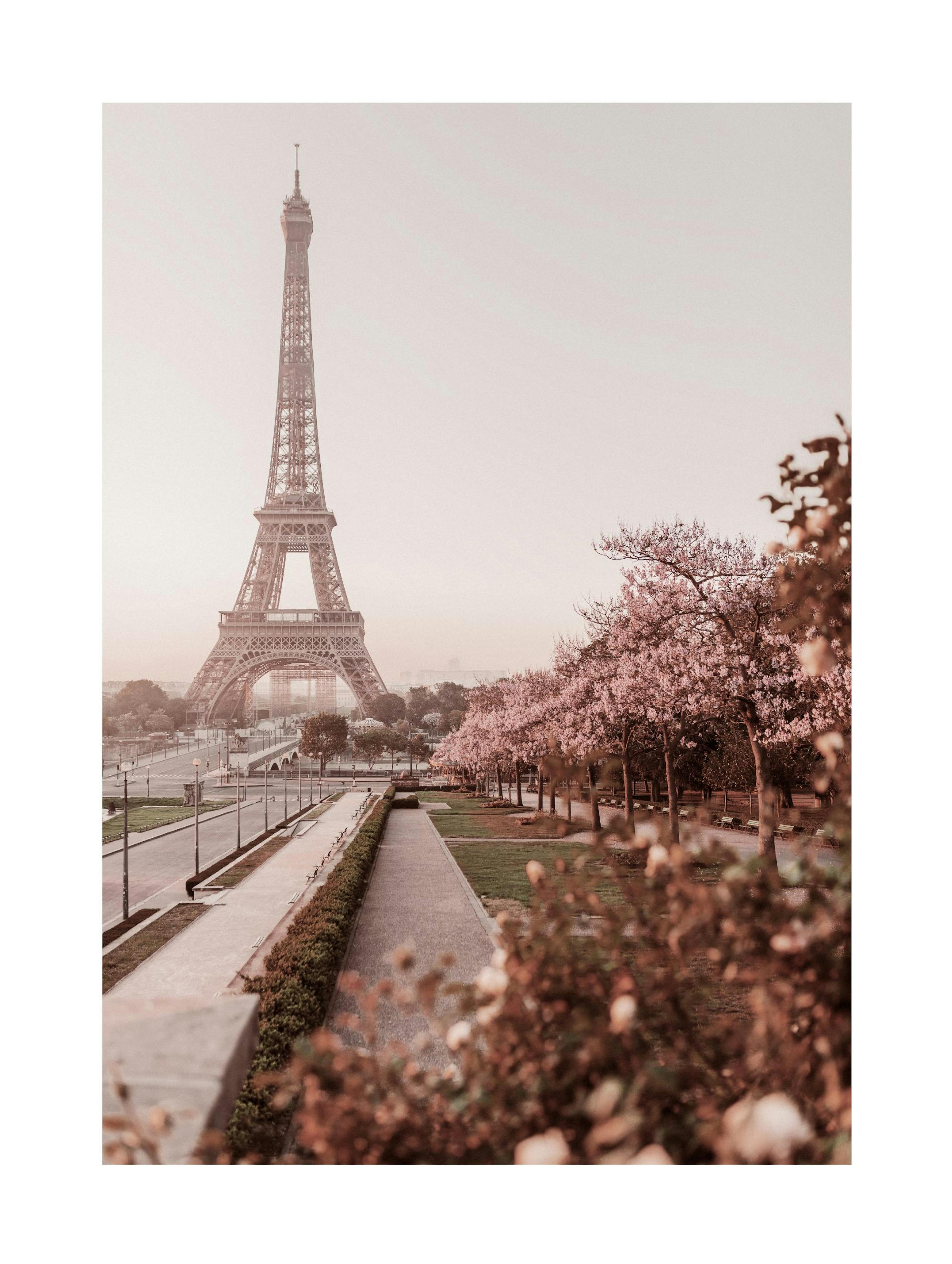 Morning in Paris Poster thumbnail