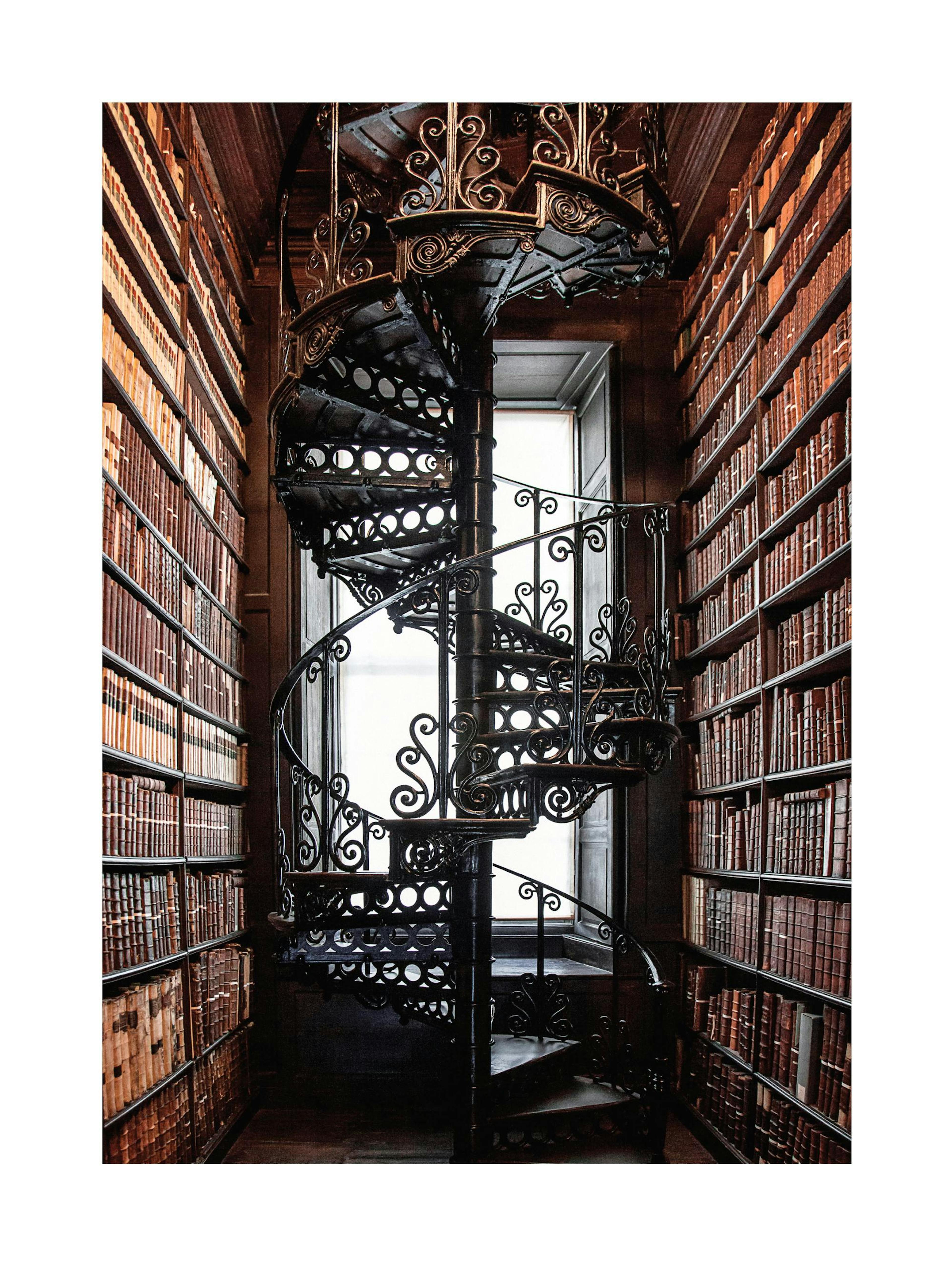 Library Staircase Poster thumbnail