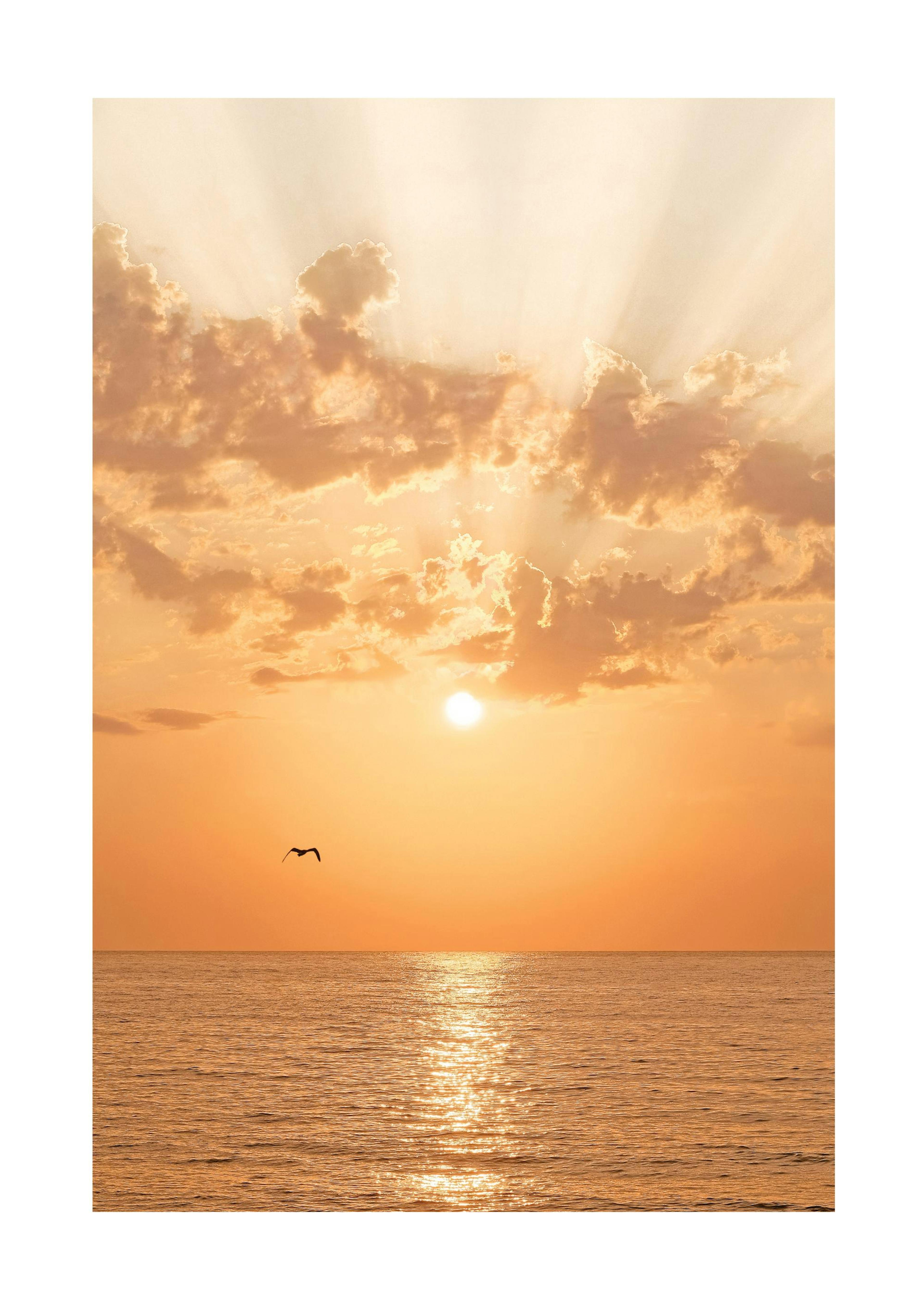 Orange Sunset Poster 0