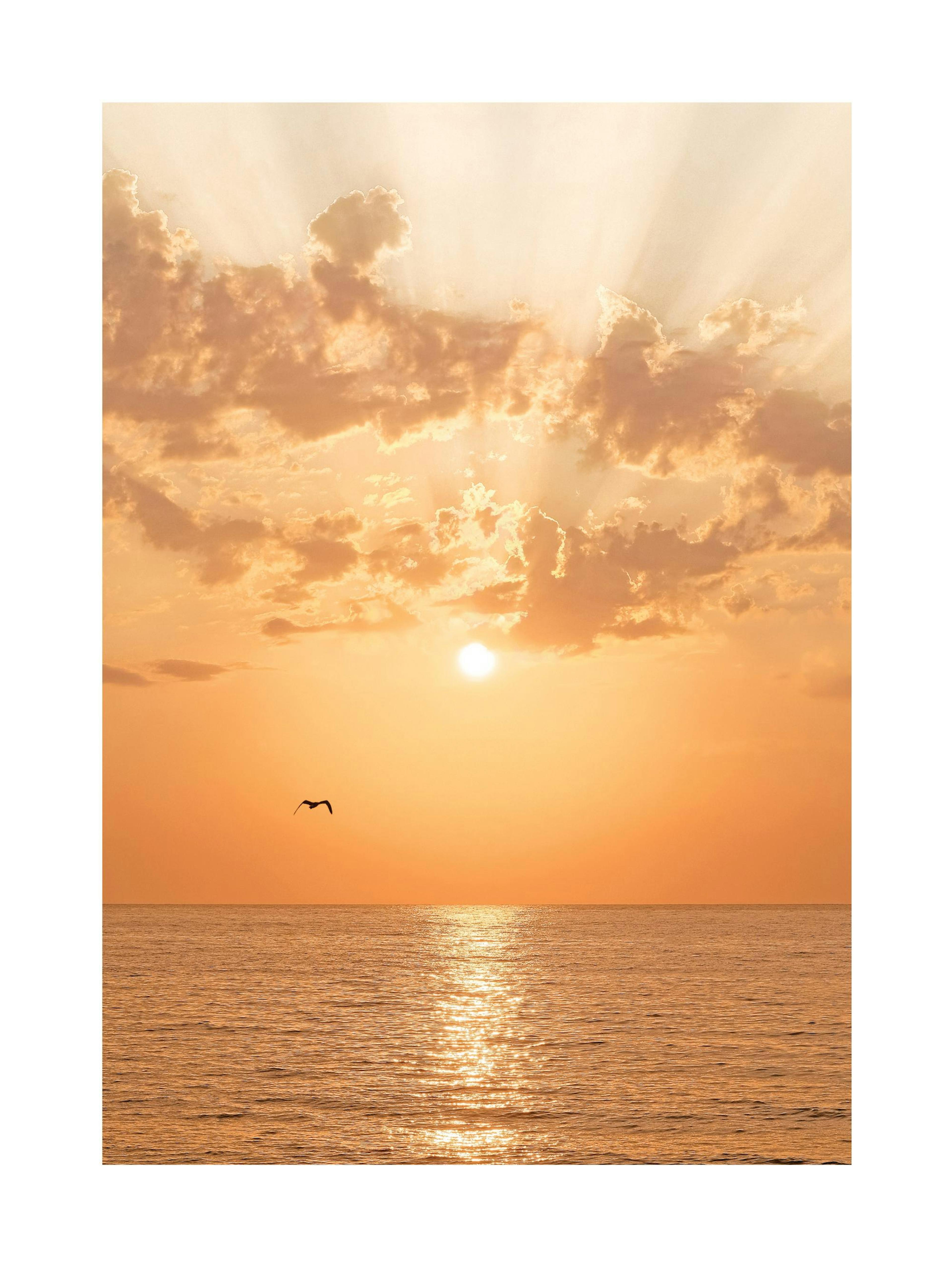 Orange Sunset Poster thumbnail