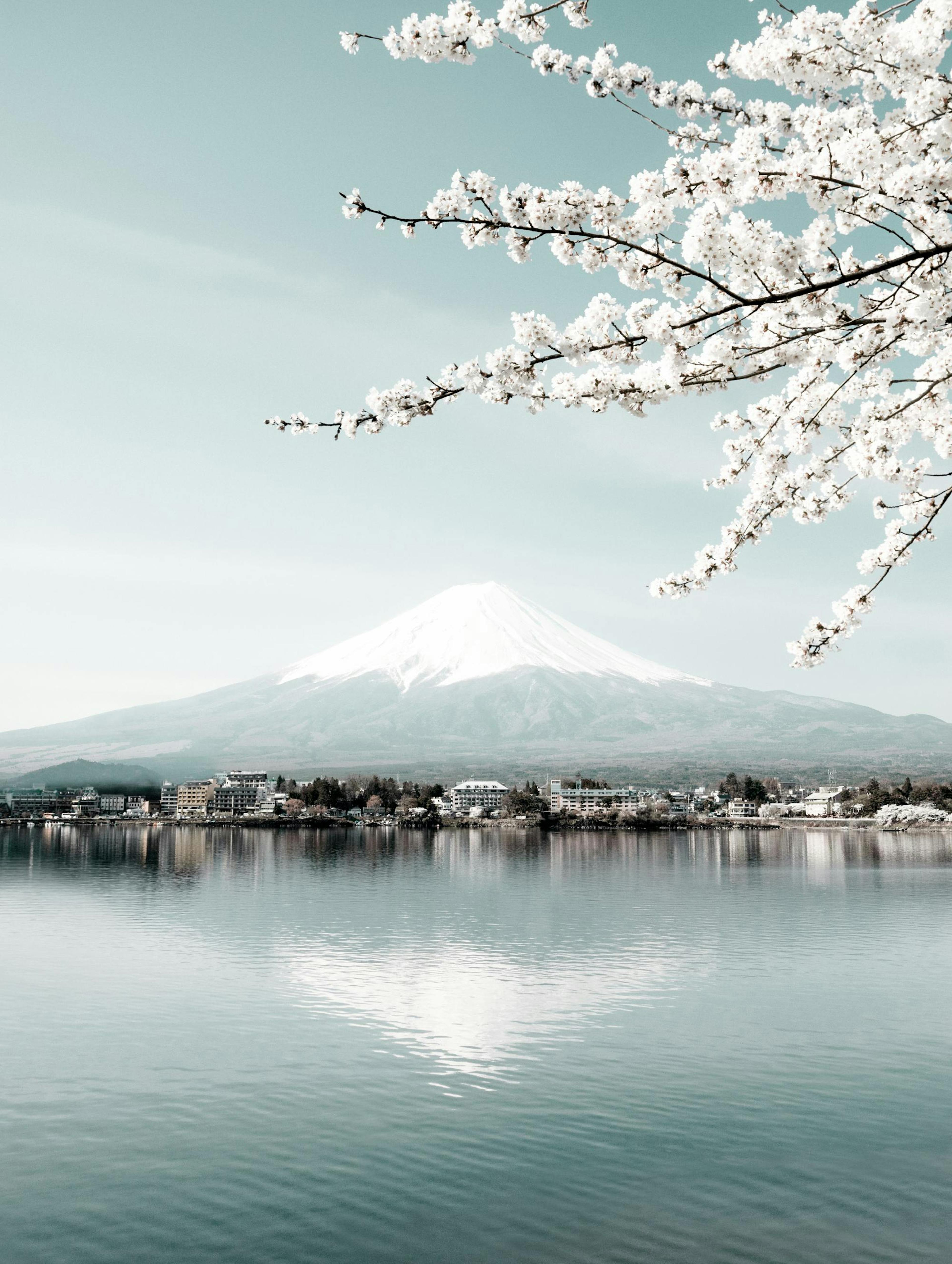 Fujiyama Poster thumbnail
