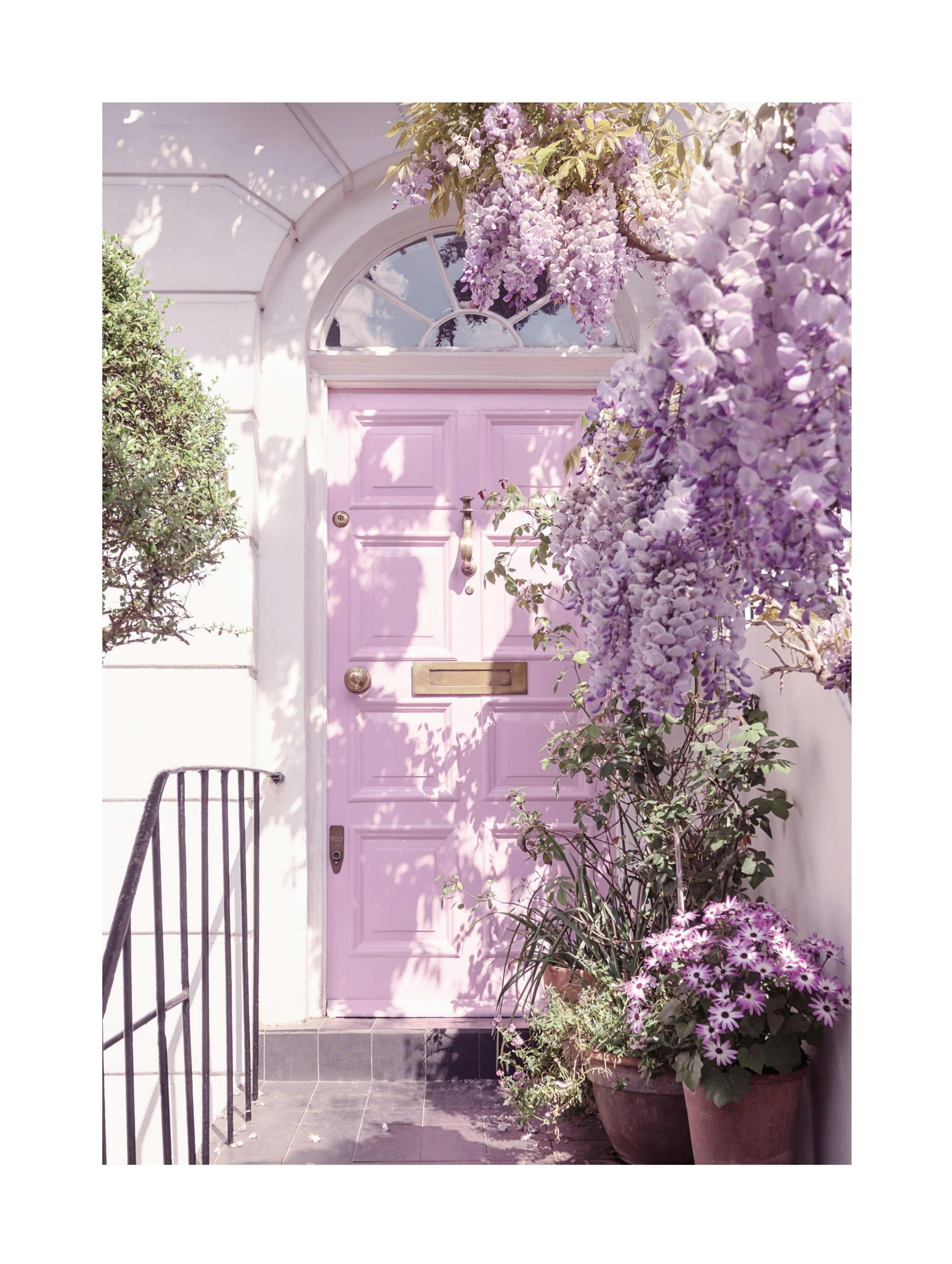 Wisteria Purple Door Poster thumbnail