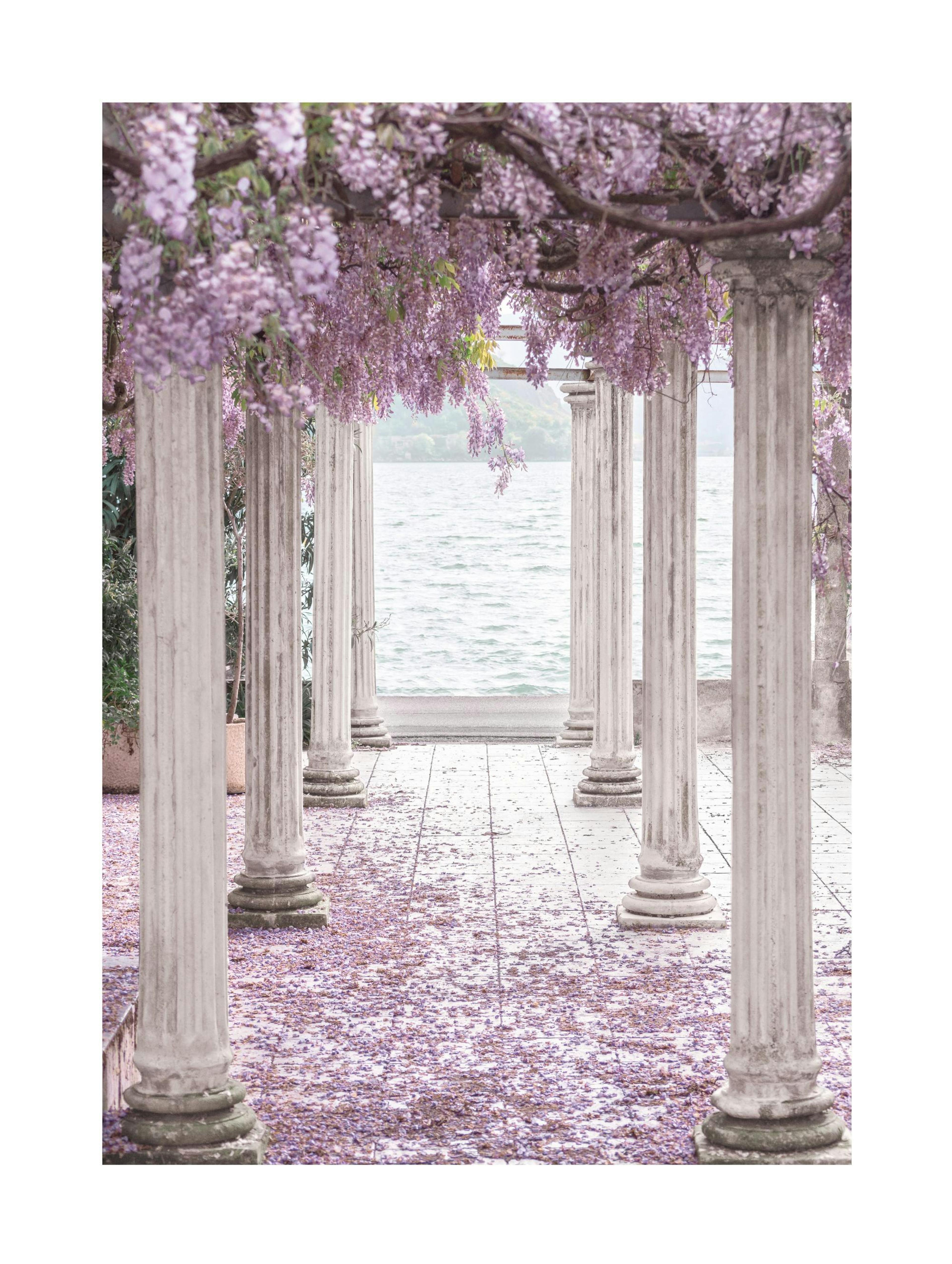 Wisteria-søjler plakat thumbnail