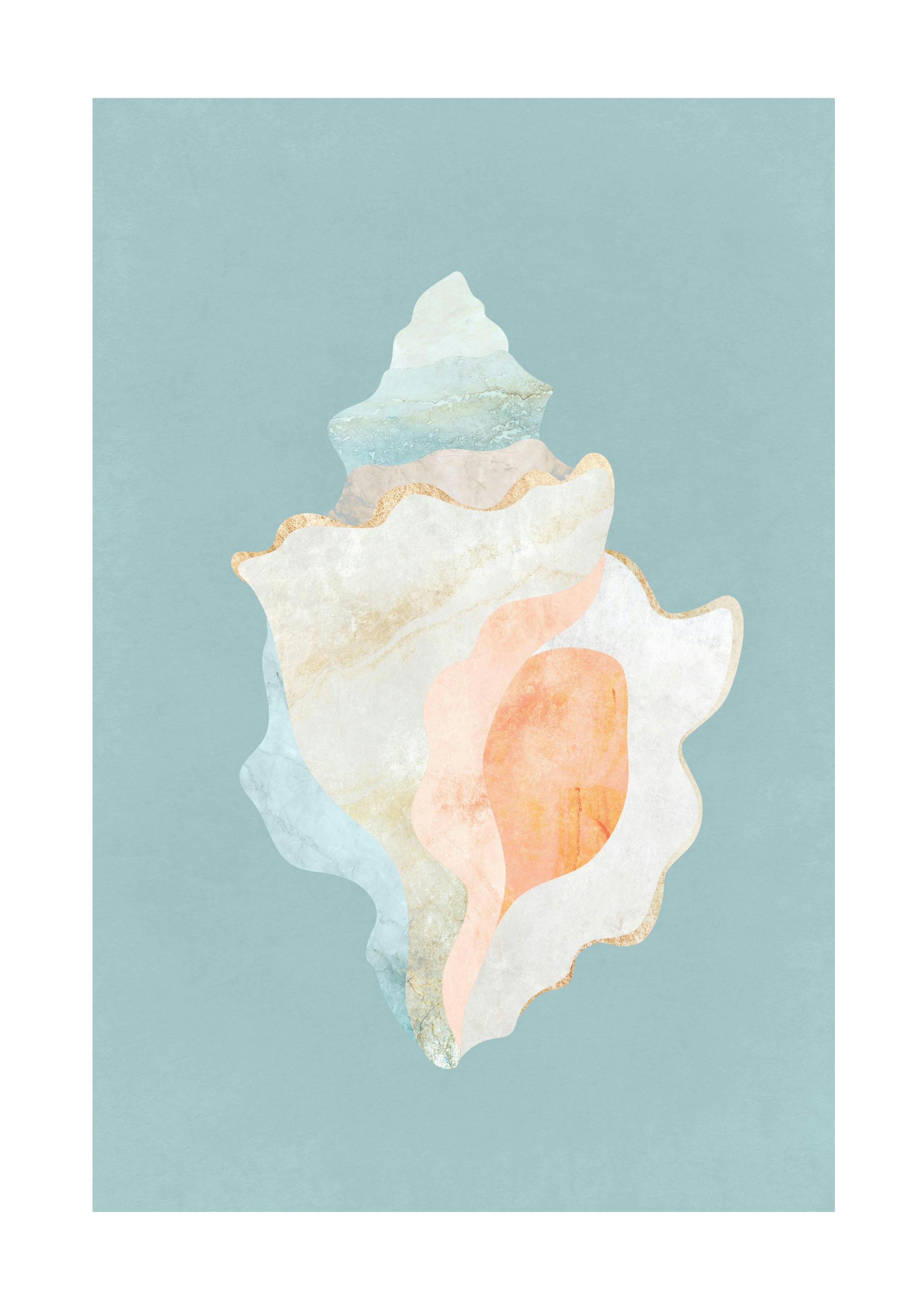 Graphic Seashell Poster 0