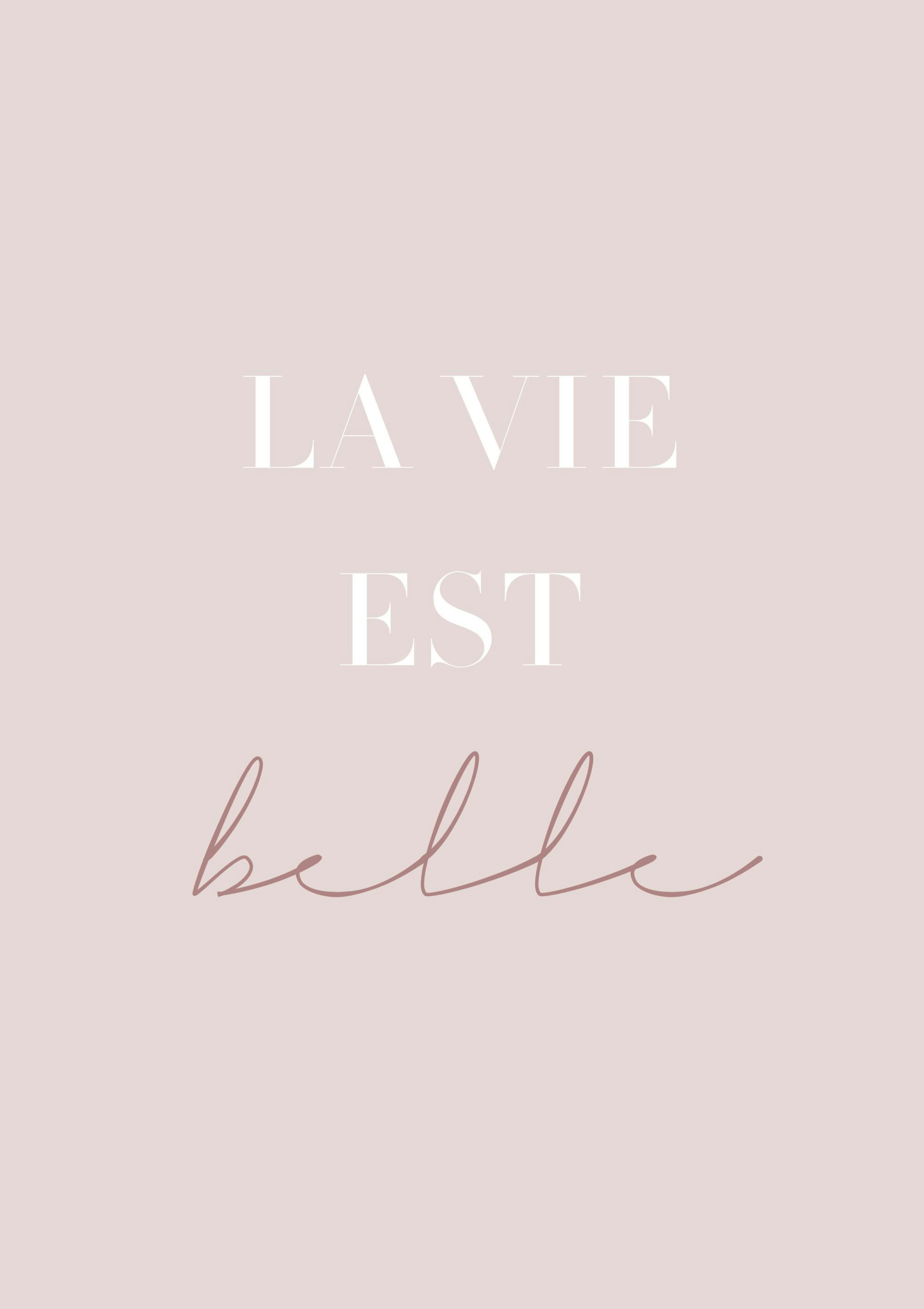 La Vie Est Belle 포스터 0