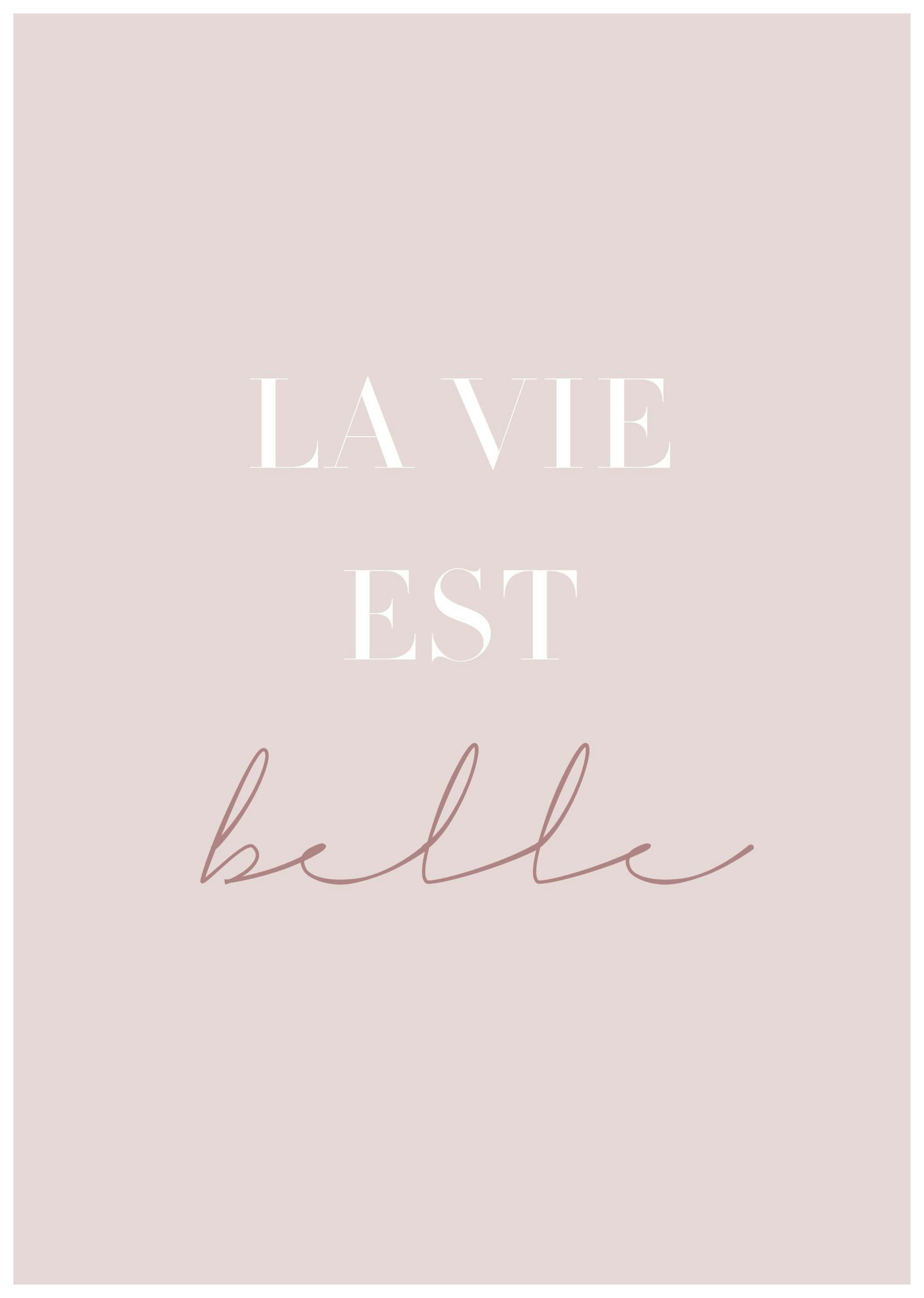 La Vie Est Belle Poster (30x40 cm) - Poster Store