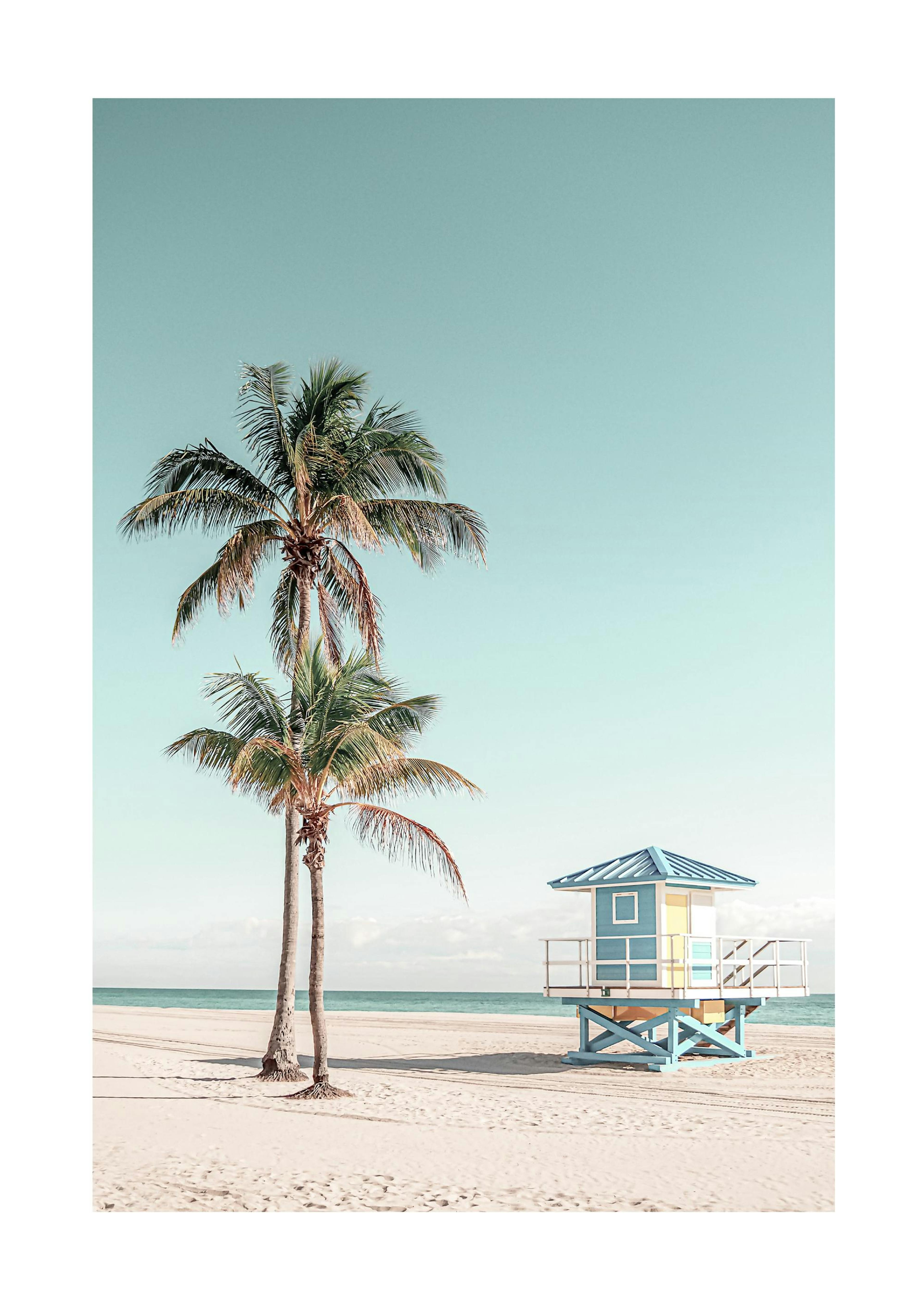 Palm Strand Poster 0