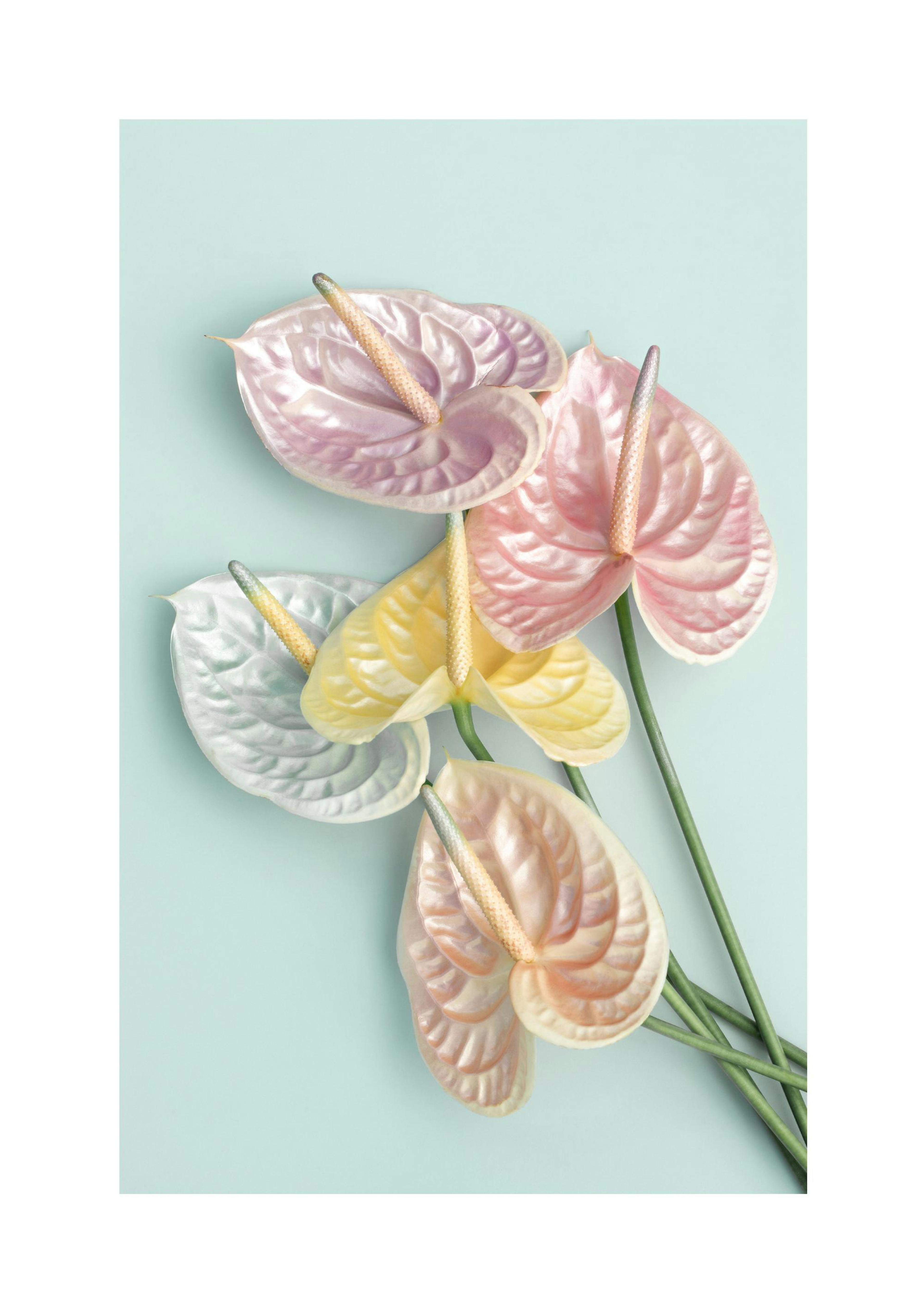 Shimmery Flowers Poster thumbnail