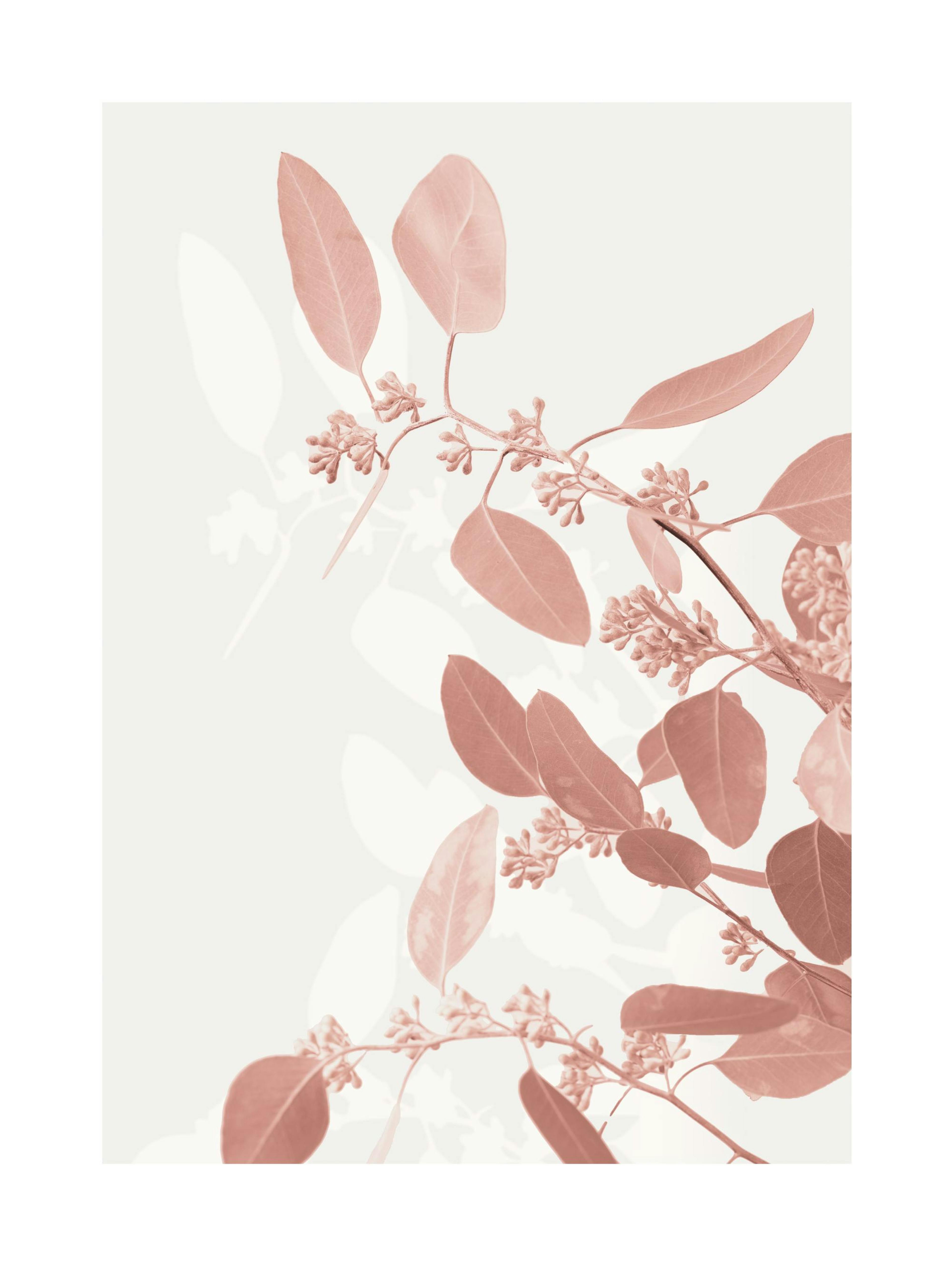 Pastel Twig Poster 0