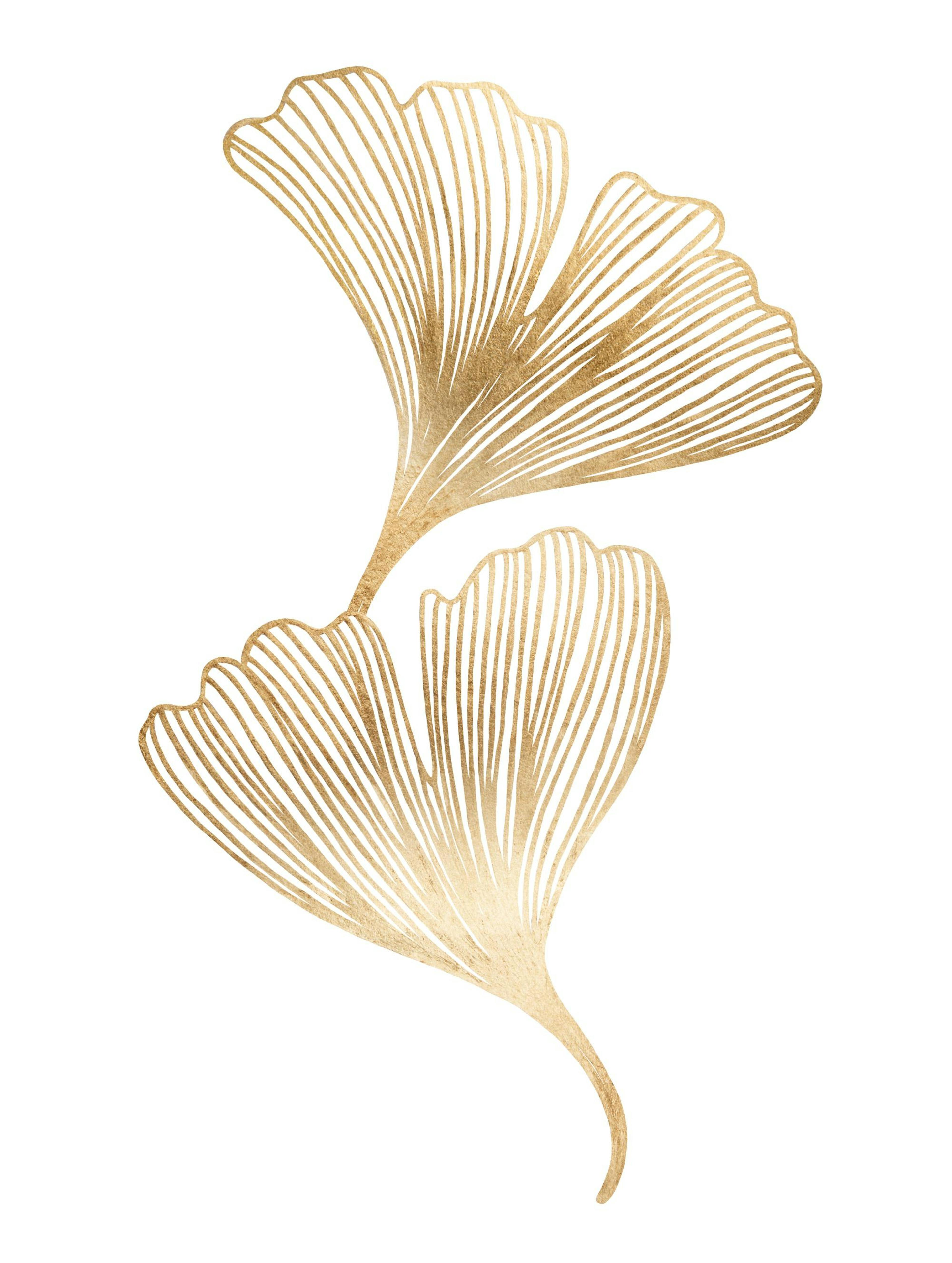 Guld Ginkgo Poster 0