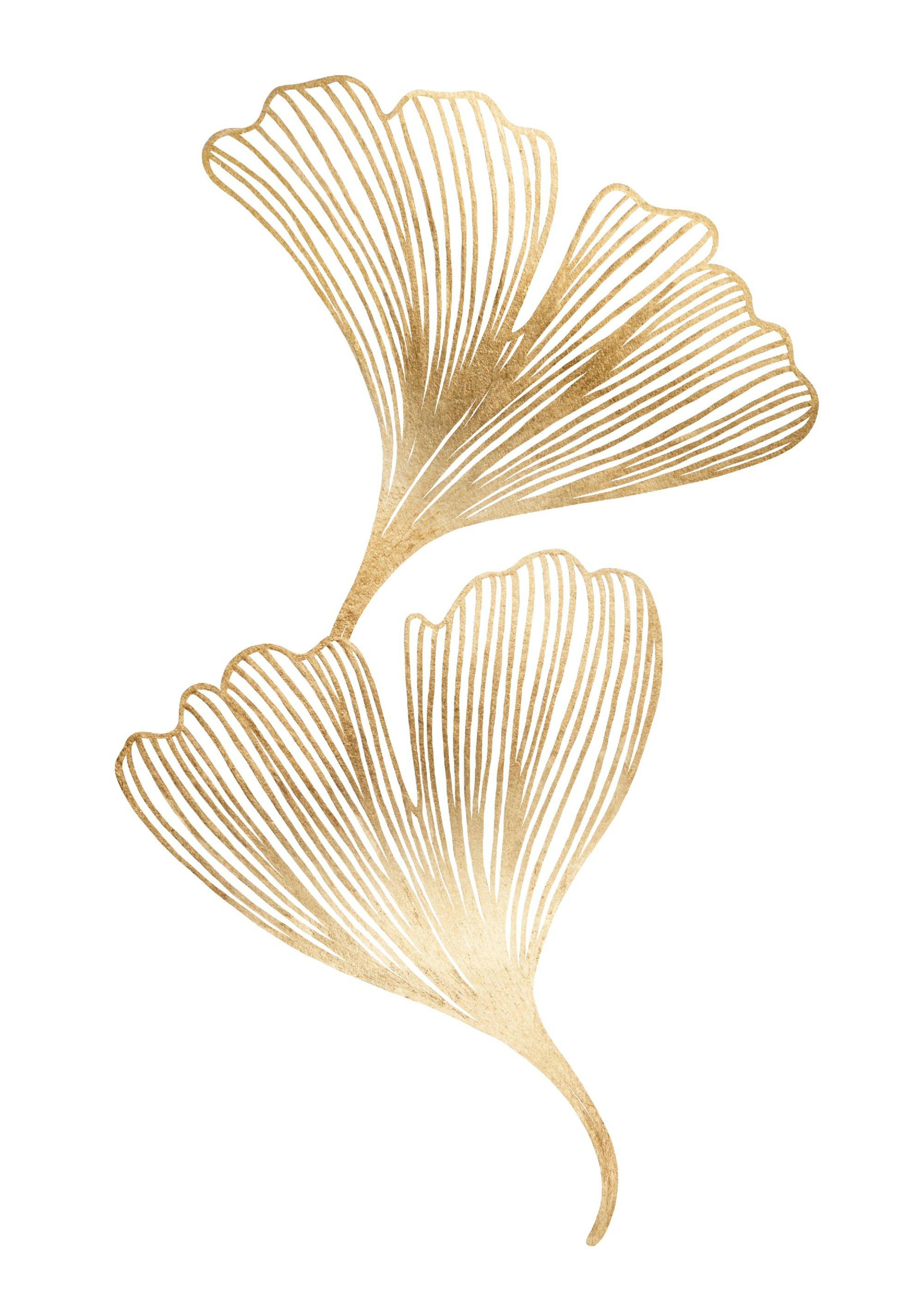 Ginkgo Doré Poster 0