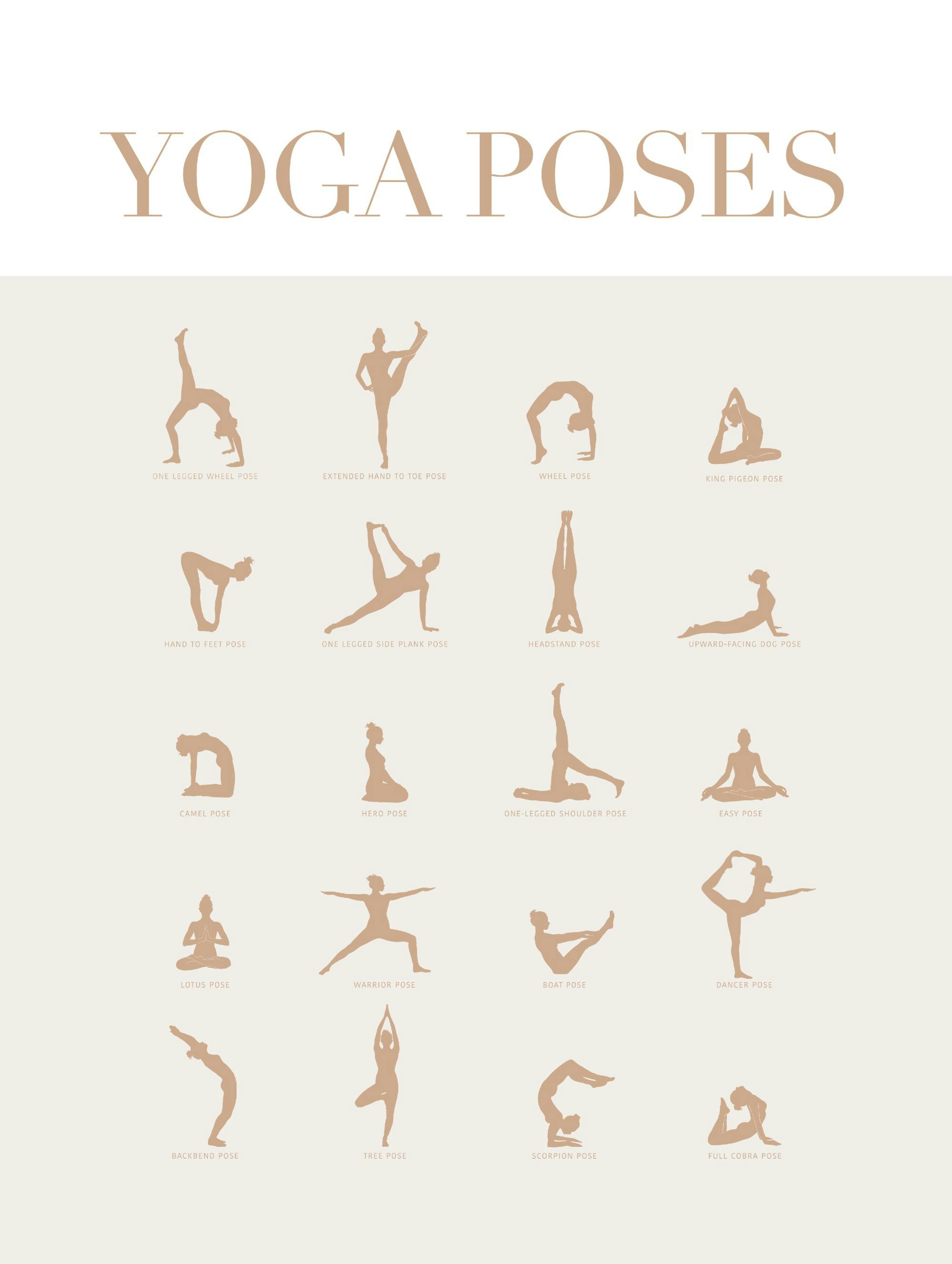 Yoga Poses Poster 0