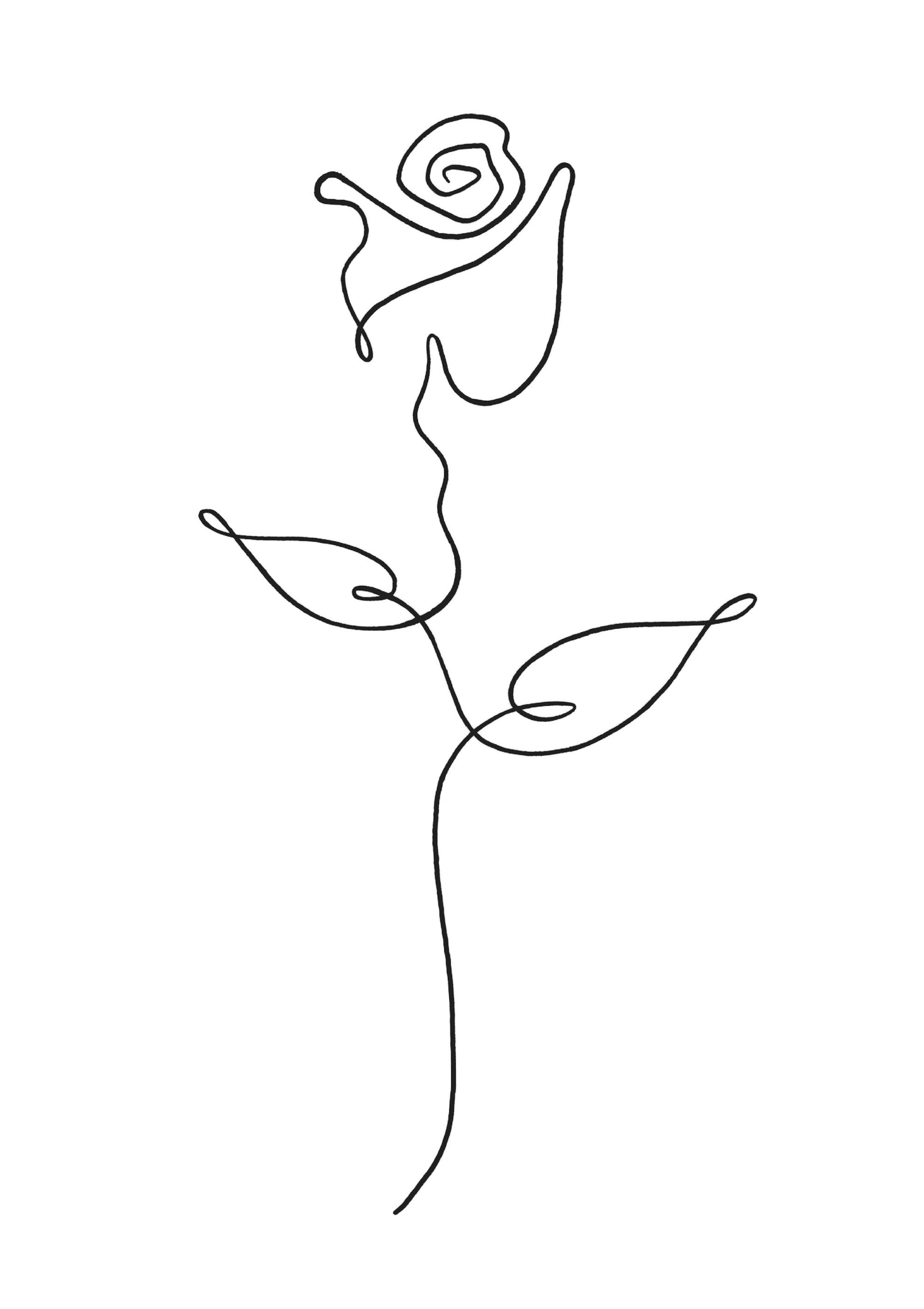 Rose Line Art Poster 0